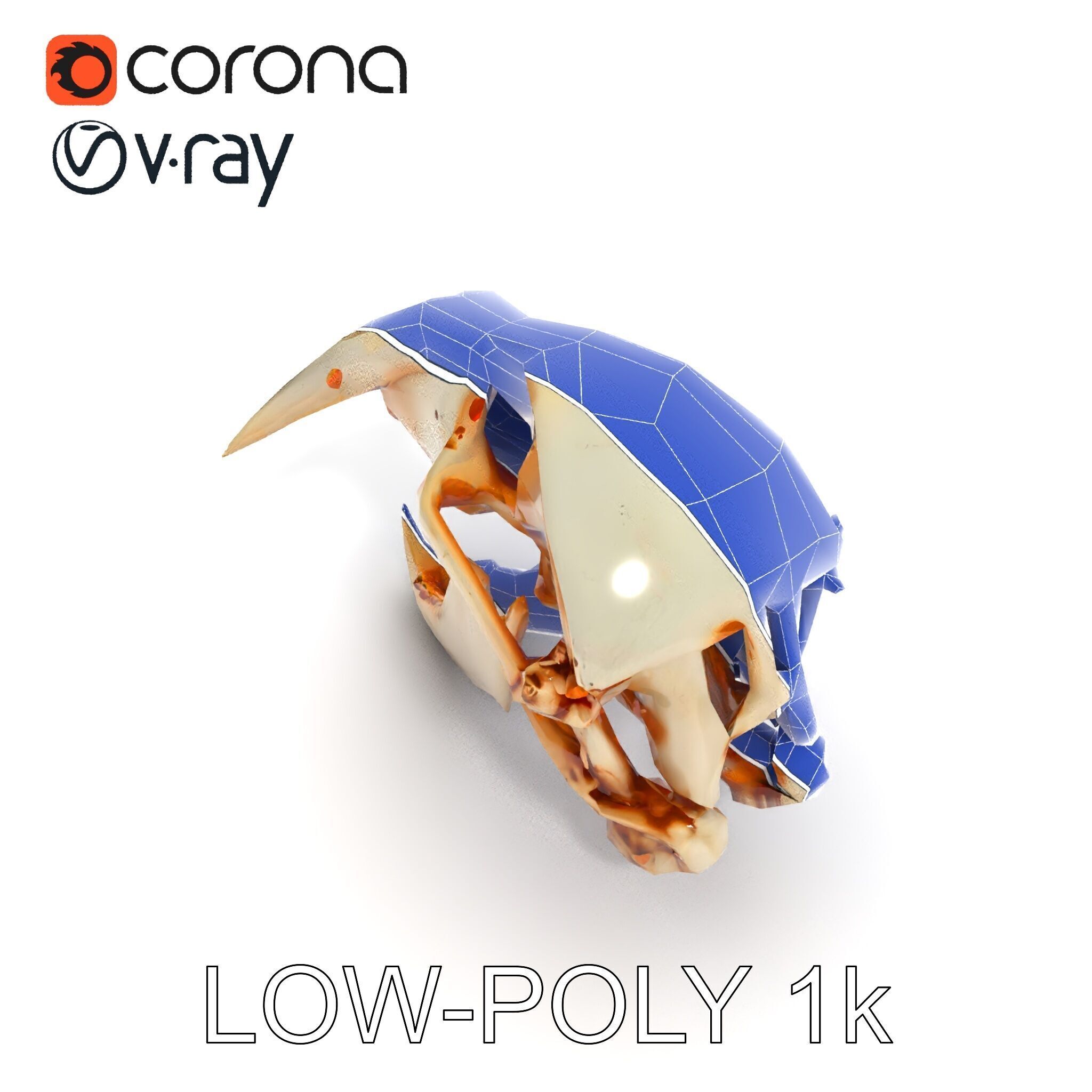Detailed Animal Skull D Model Pack Low-poly 3D model_17