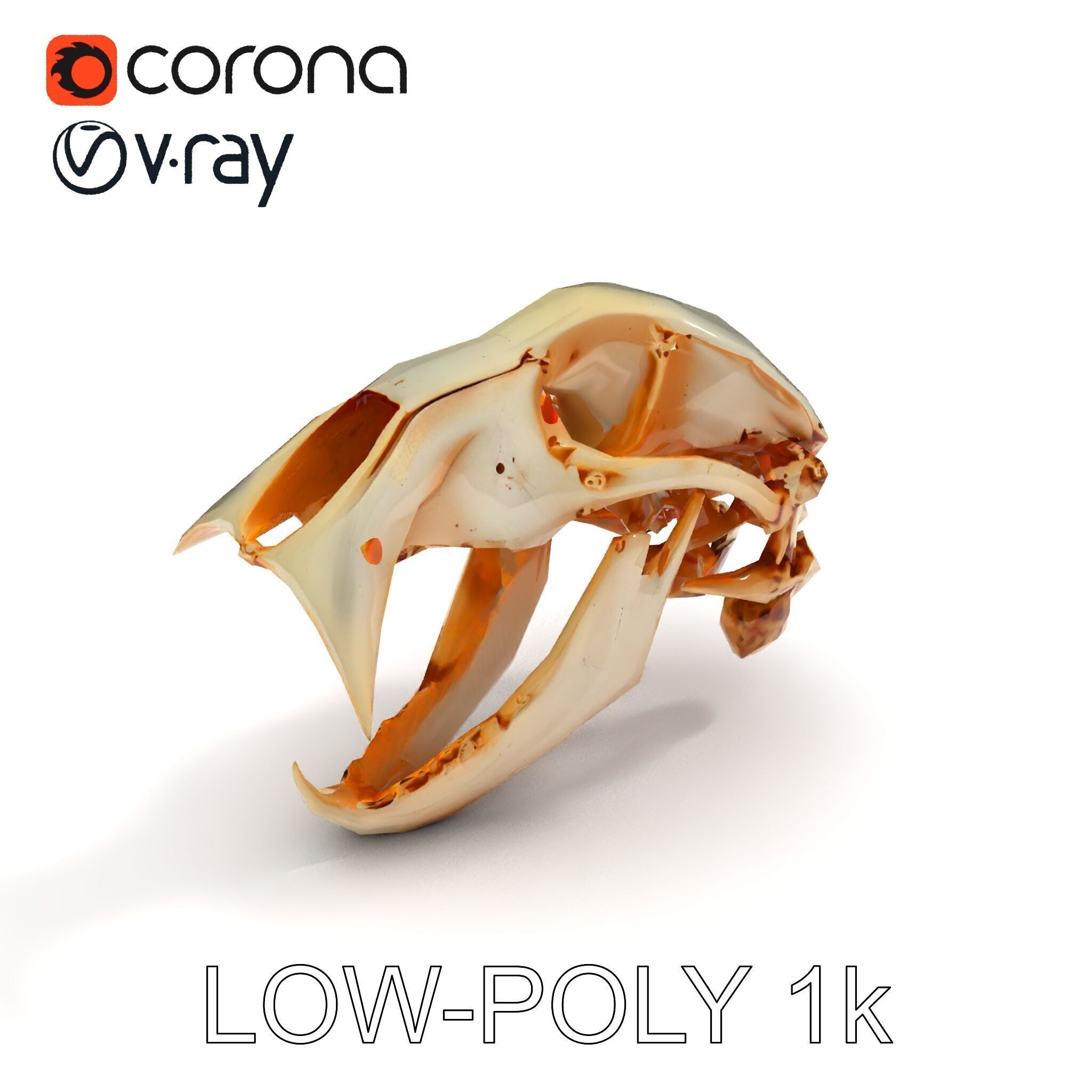 Detailed Animal Skull D Model Pack Low-poly 3D model_10