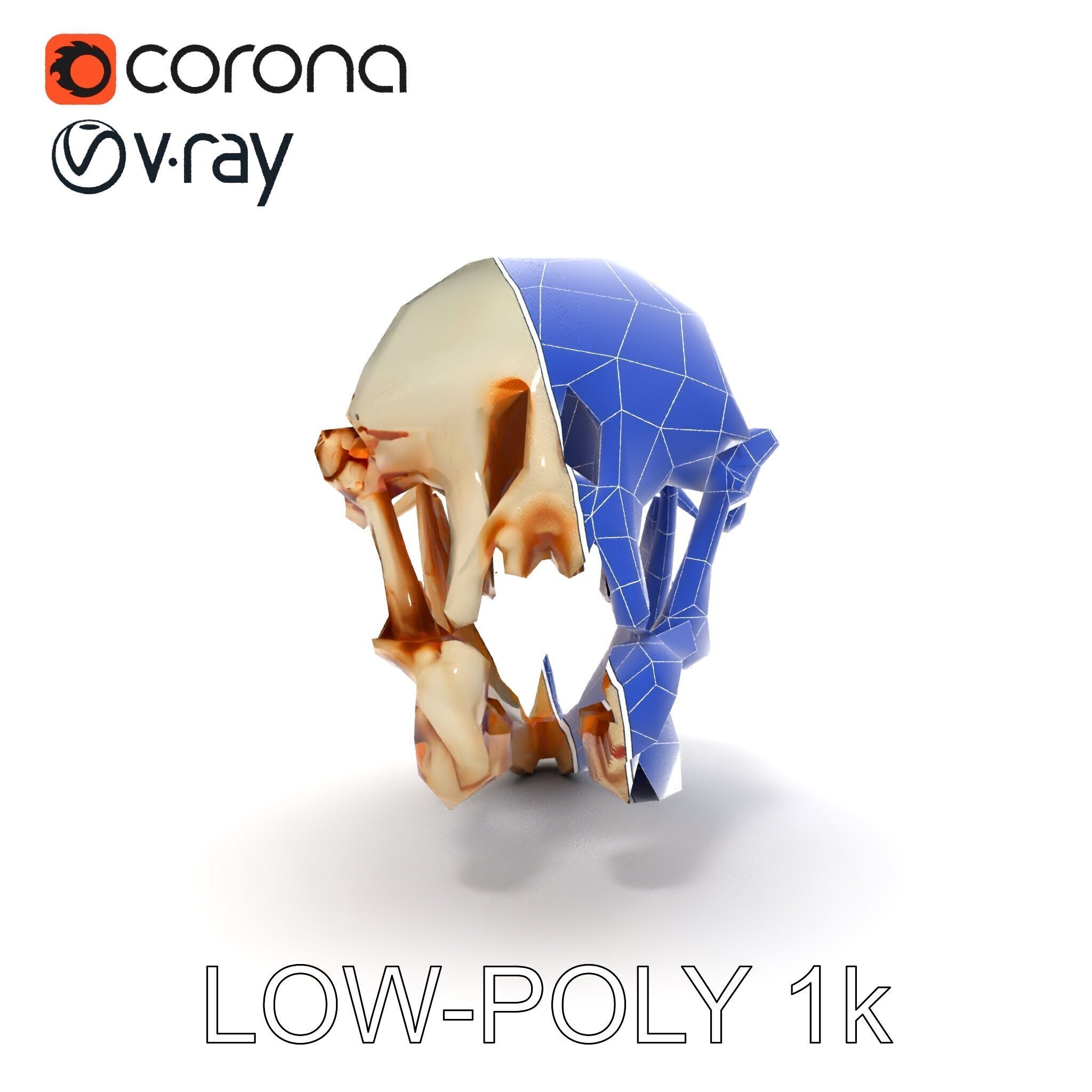 Detailed Animal Skull D Model Pack Low-poly 3D model_19