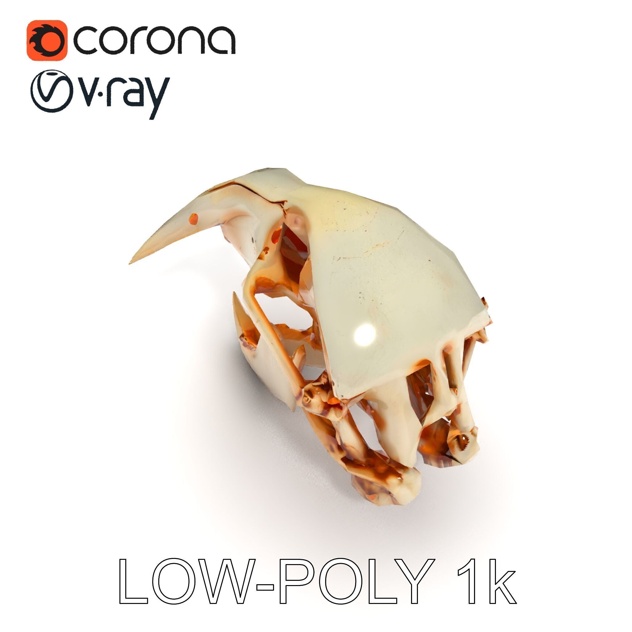 Detailed Animal Skull D Model Pack Low-poly 3D model_12