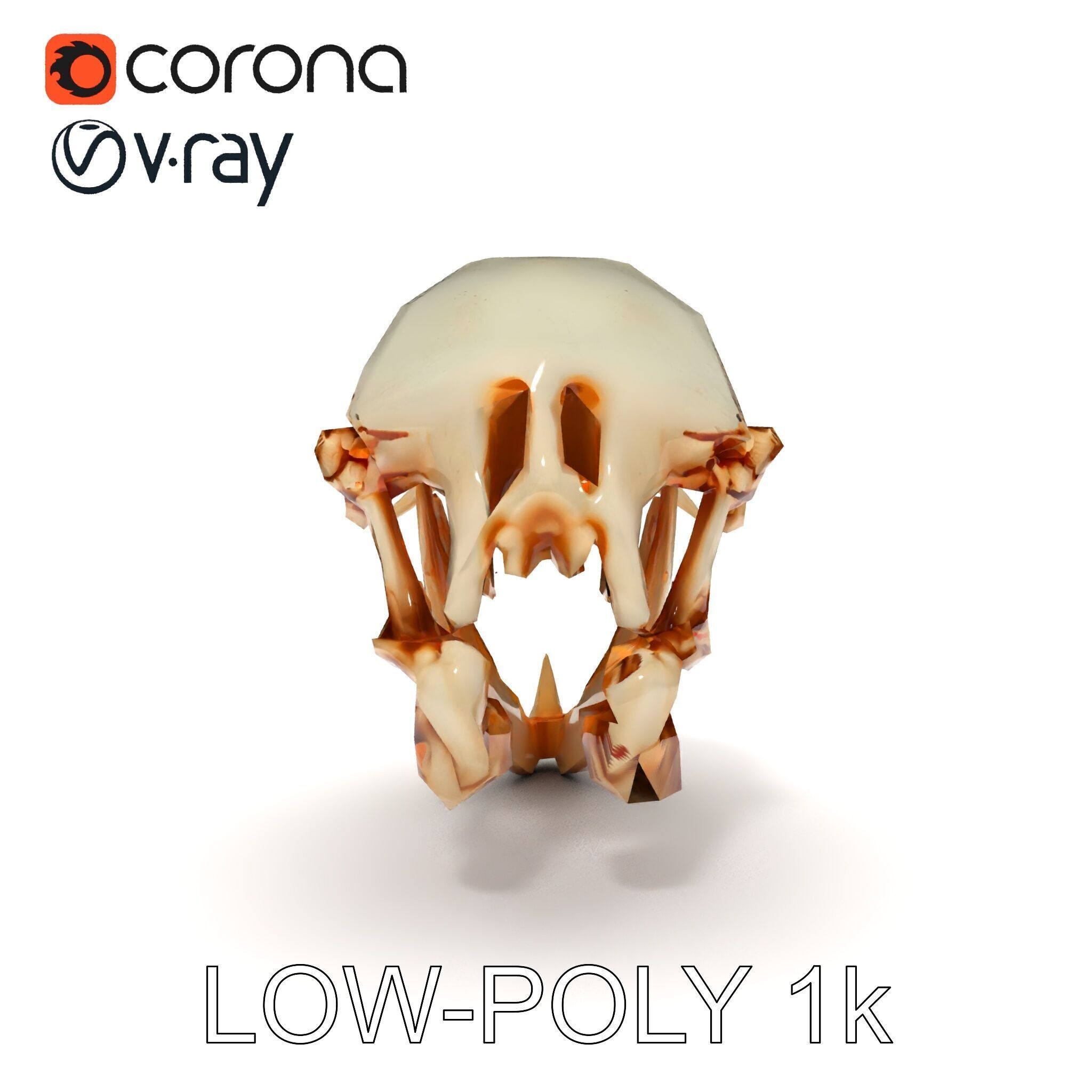 Detailed Animal Skull D Model Pack Low-poly 3D model_33