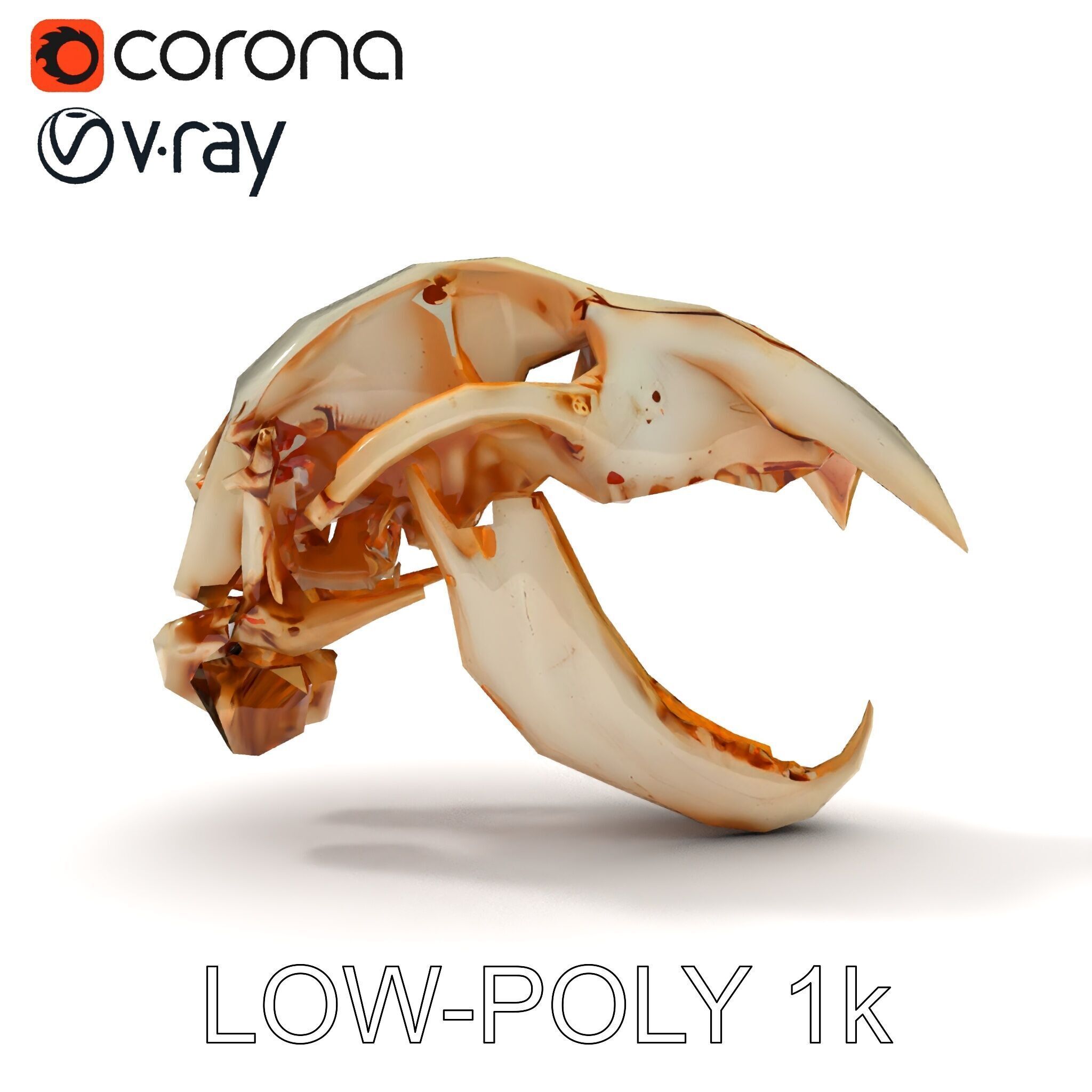 Detailed Animal Skull D Model Pack Low-poly 3D model_22