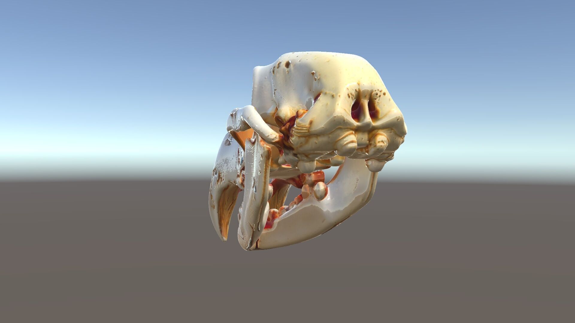 Animal Skull Model Pack with High Detail and PBR Textures Low-poly 3D model_5