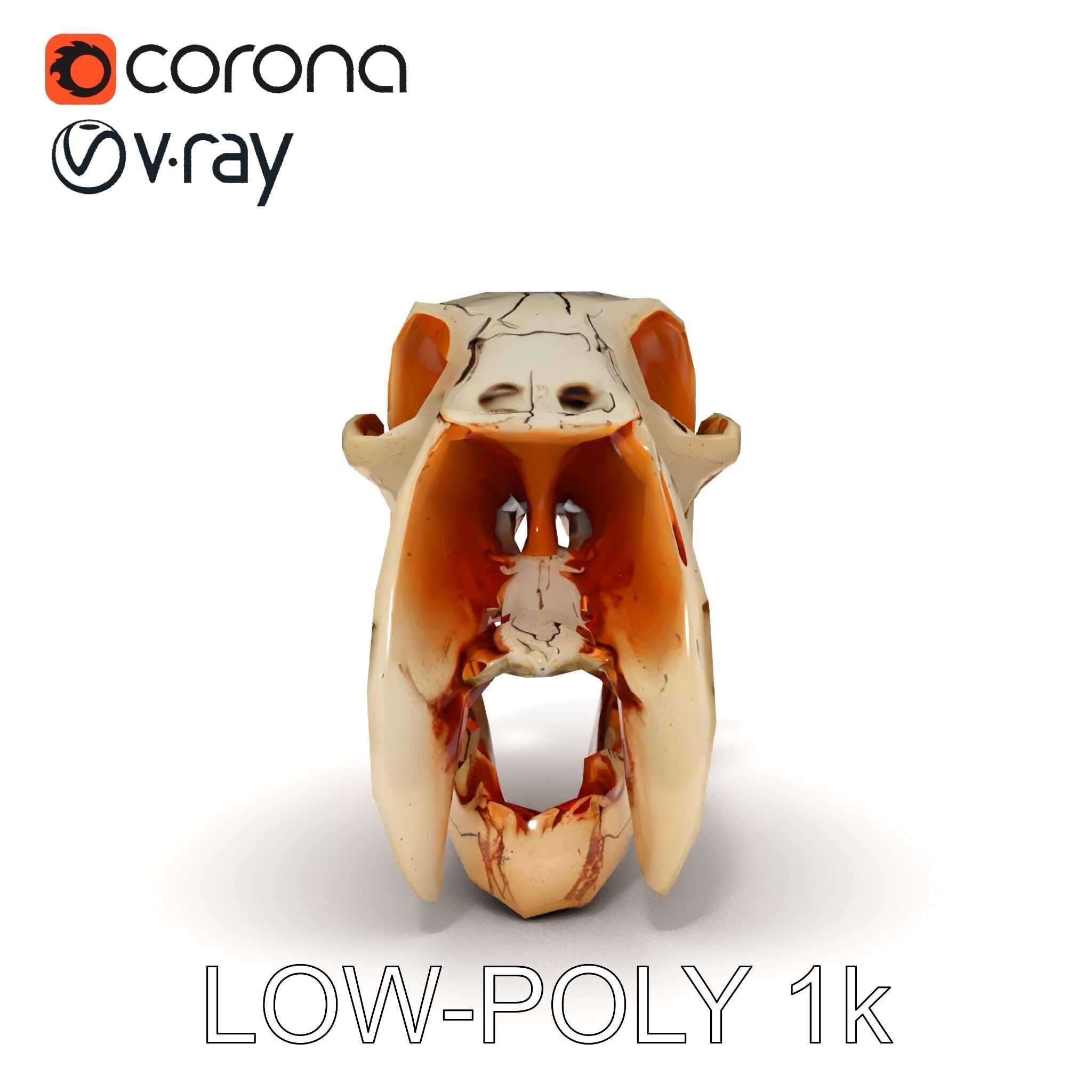 Animal Skull Model Pack with High Detail and PBR Textures Low-poly 3D model_24