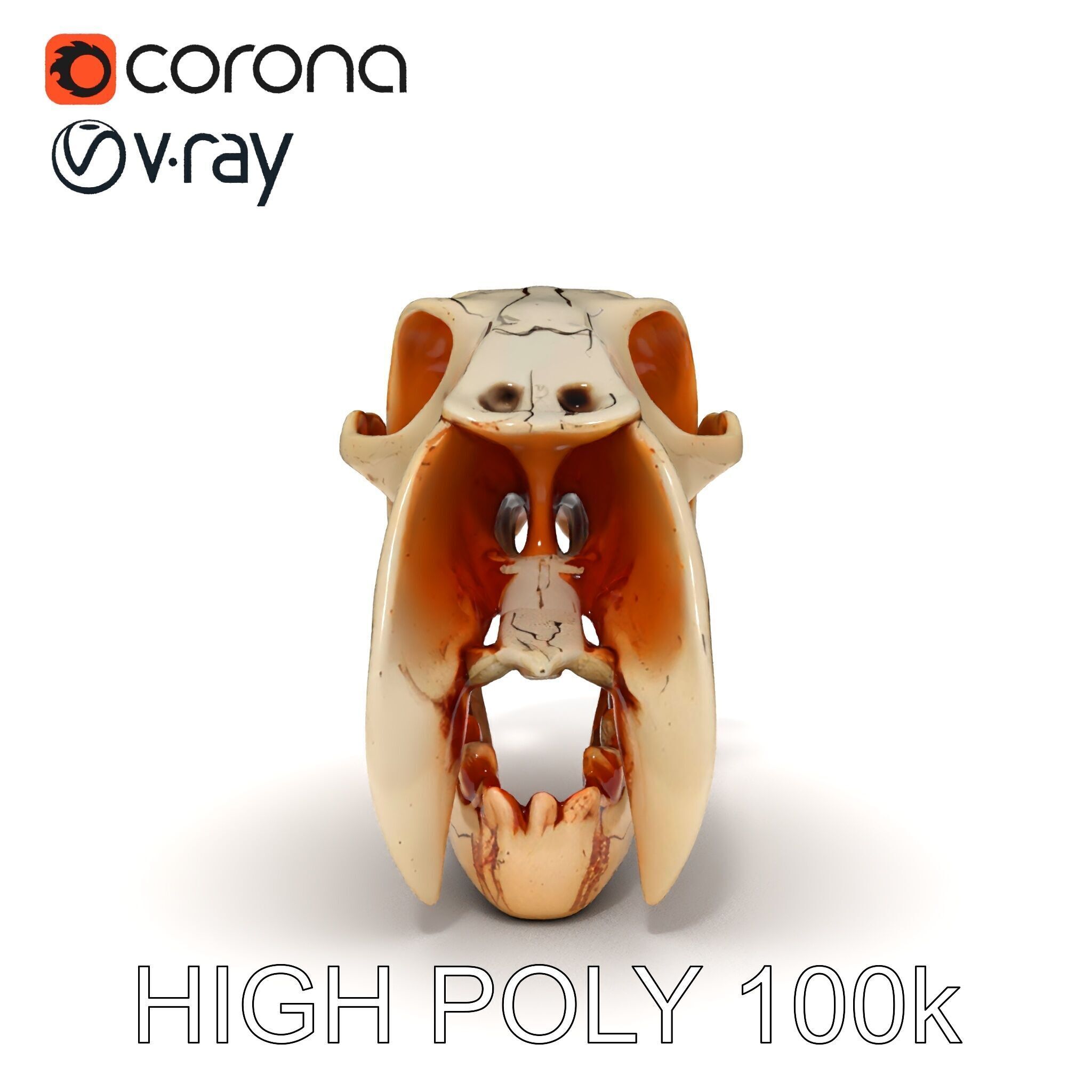 Animal Skull Model Pack with High Detail and PBR Textures Low-poly 3D model_19