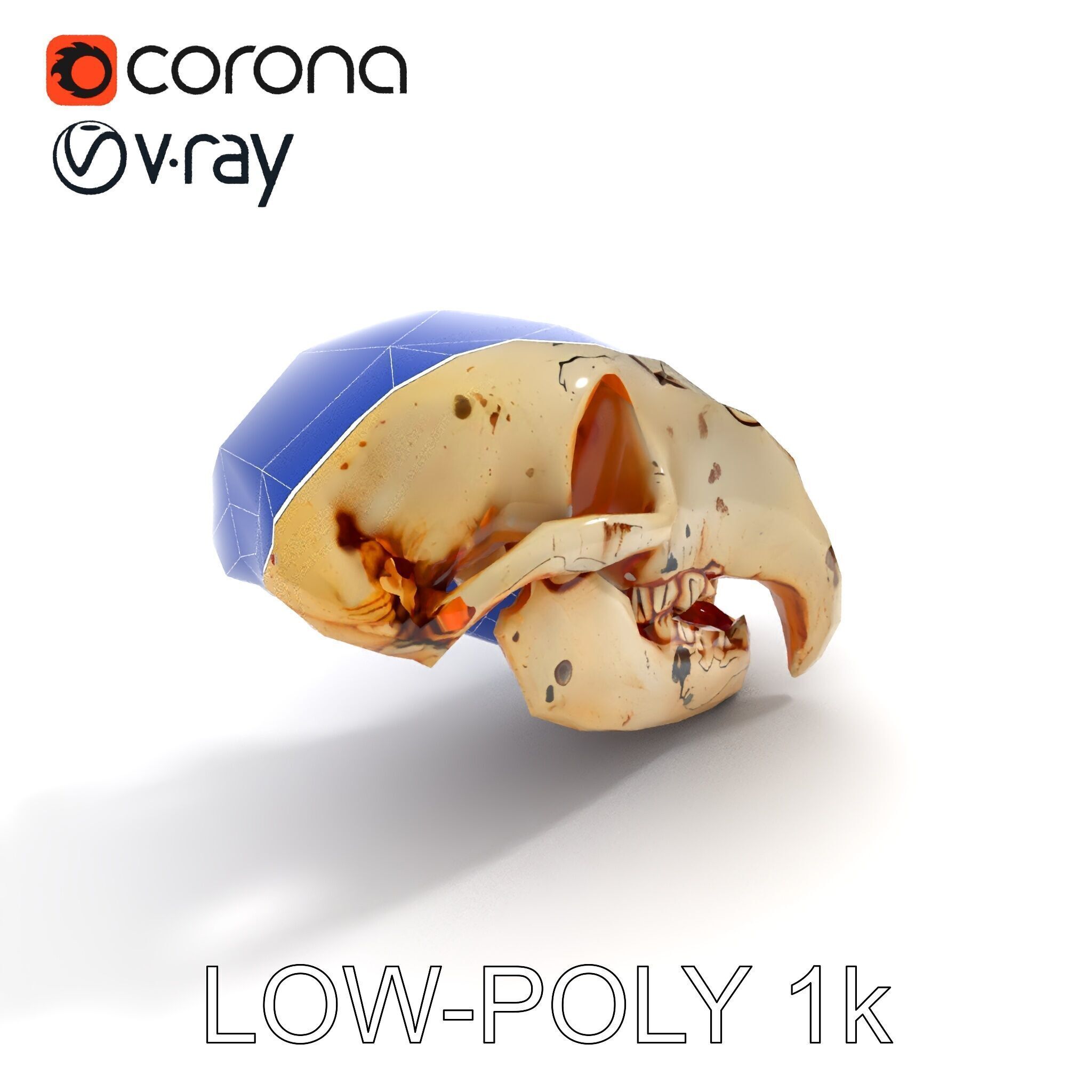 Animal Skull Model Pack with High Detail and PBR Textures Low-poly 3D model_32