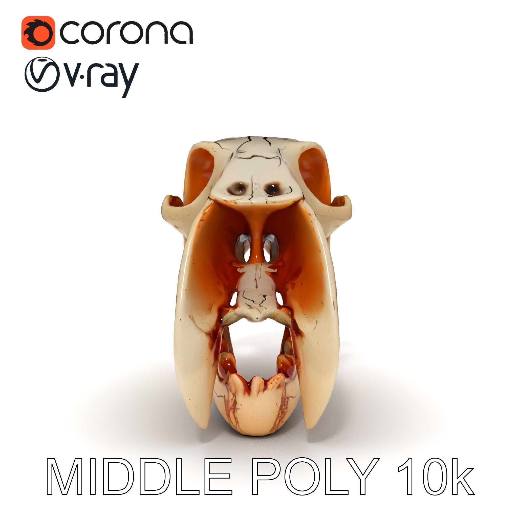 Animal Skull Model Pack with High Detail and PBR Textures Low-poly 3D model_20