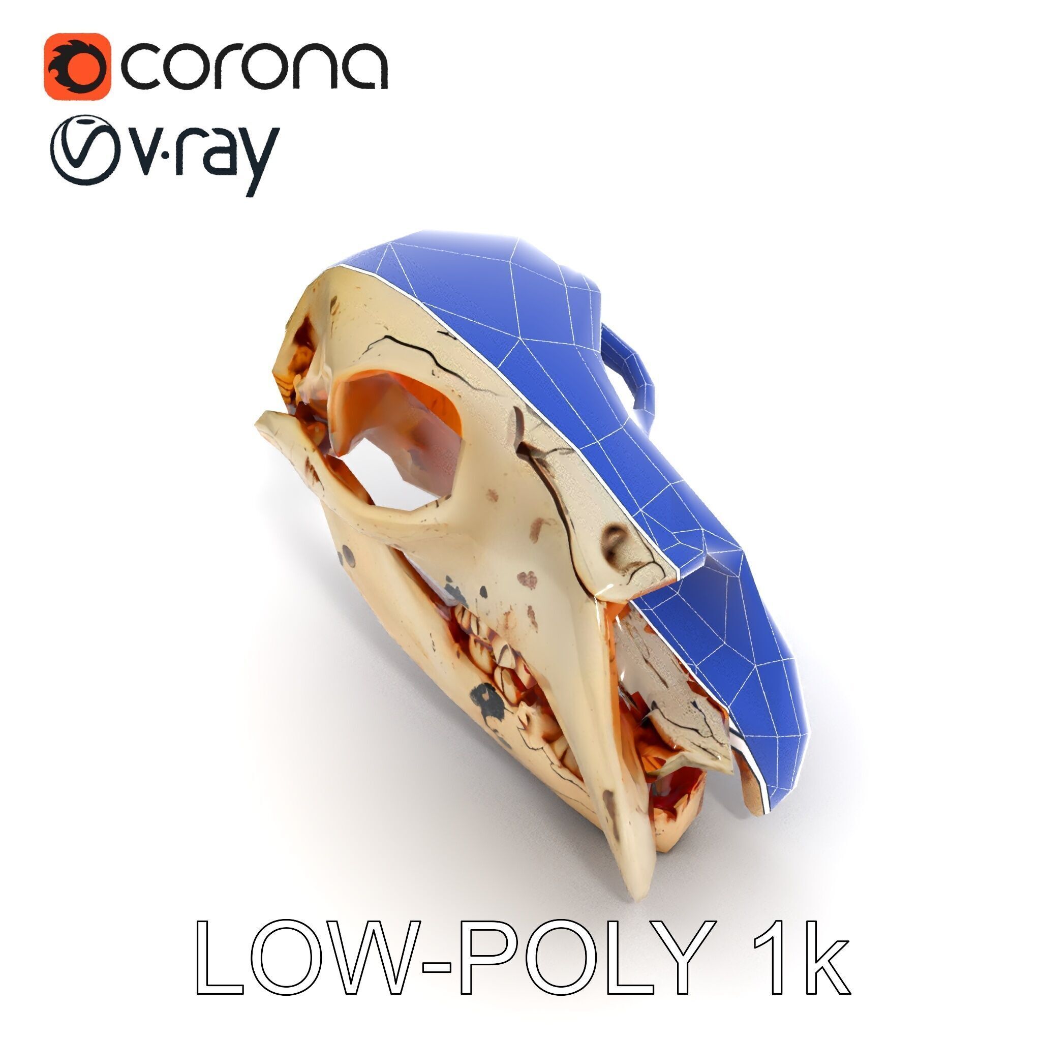 Animal Skull Model Pack with High Detail and PBR Textures Low-poly 3D model_27