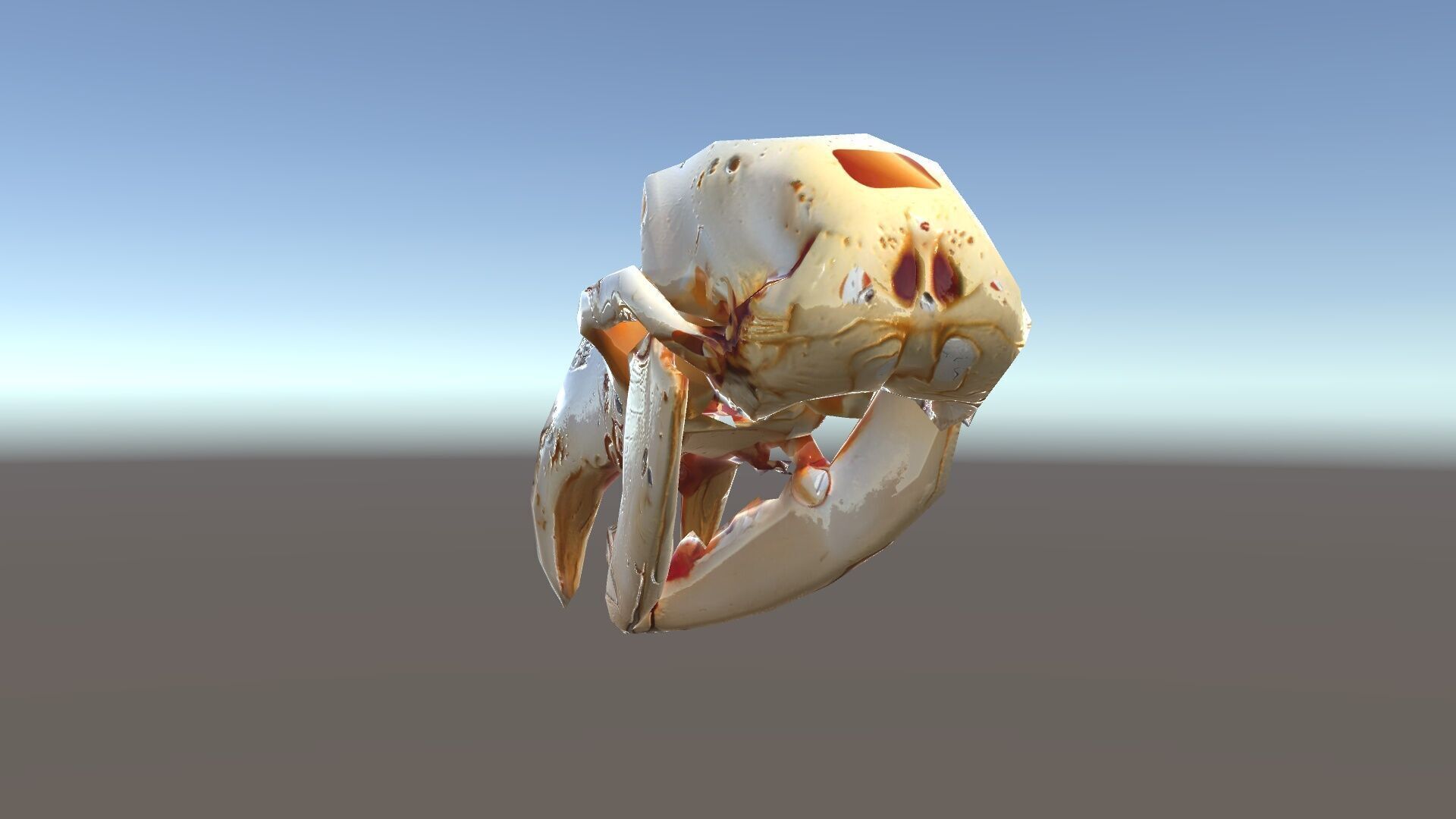 Animal Skull Model Pack with High Detail and PBR Textures Low-poly 3D model_30
