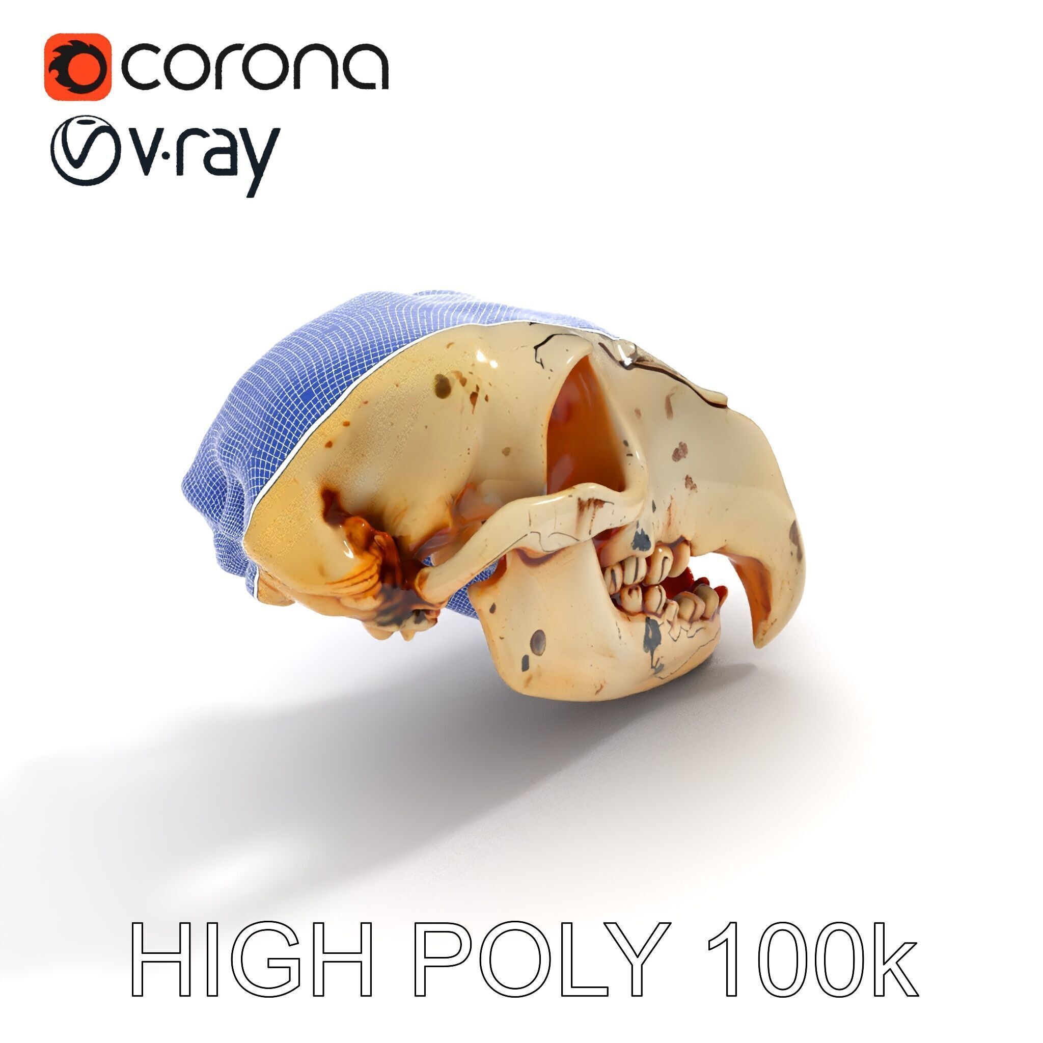 Animal Skull Model Pack with High Detail and PBR Textures Low-poly 3D model_13