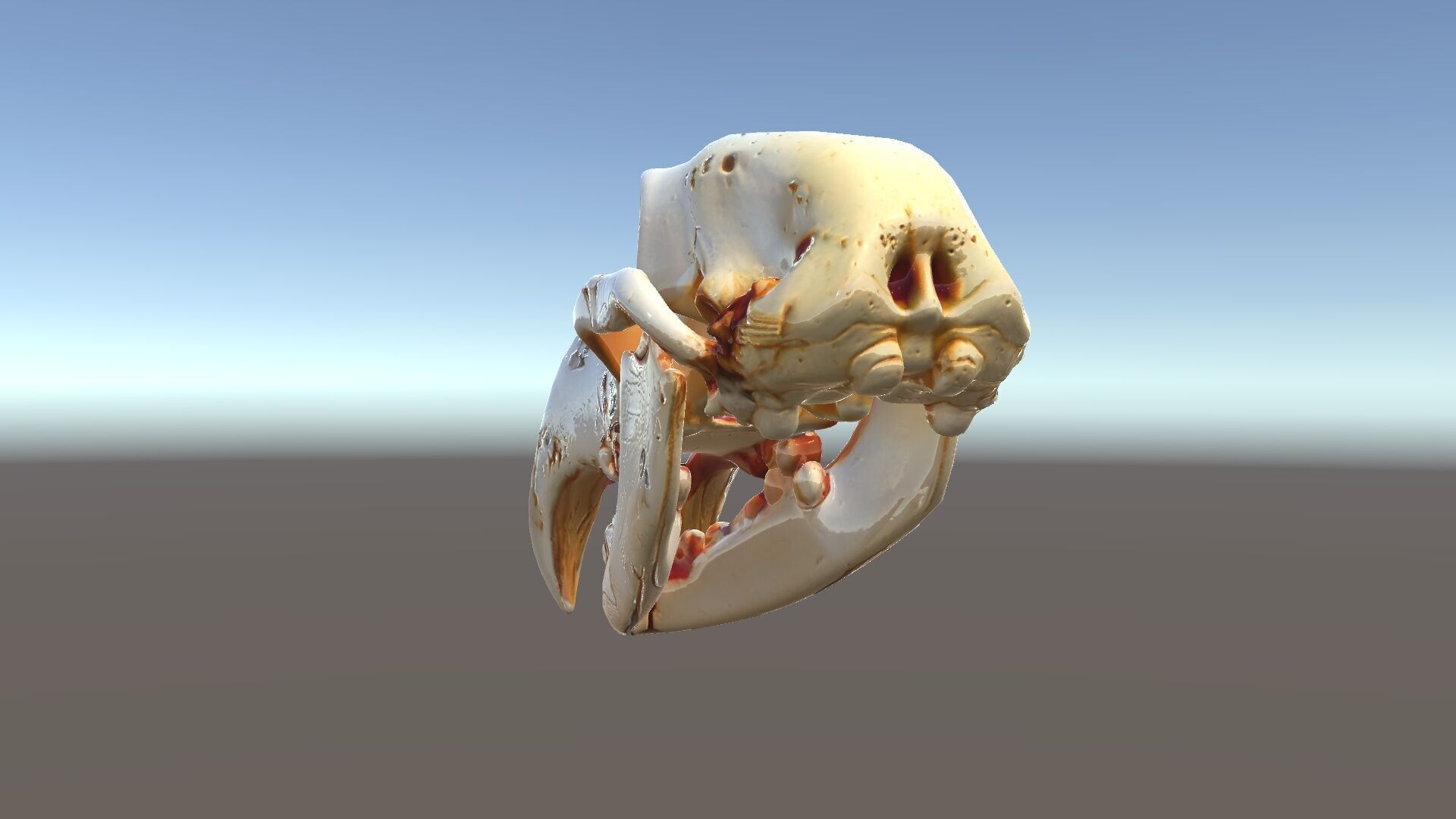 Animal Skull Model Pack with High Detail and PBR Textures Low-poly 3D model_31