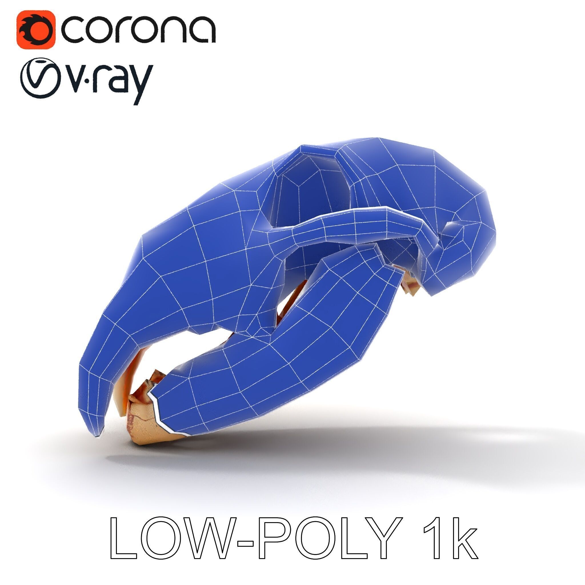 Animal Skull Model Pack with High Detail and PBR Textures Low-poly 3D model_15