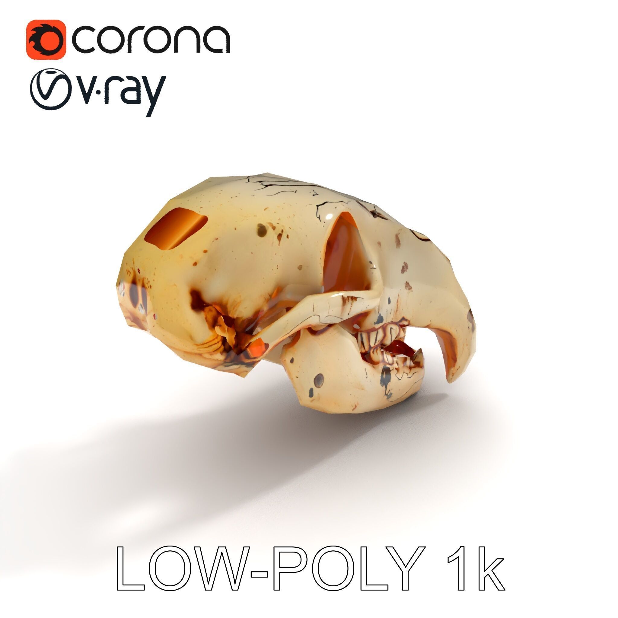 Animal Skull Model Pack with High Detail and PBR Textures Low-poly 3D model_18