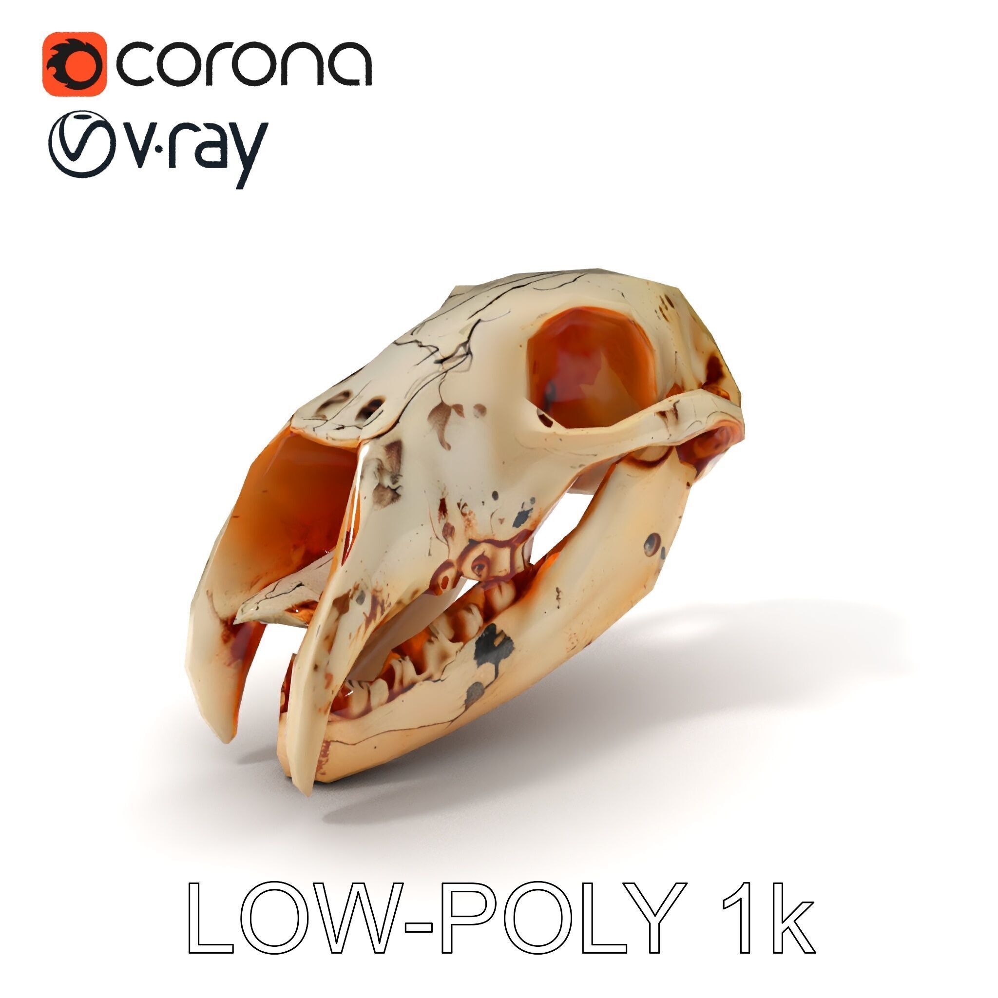 Animal Skull Model Pack with High Detail and PBR Textures Low-poly 3D model_35