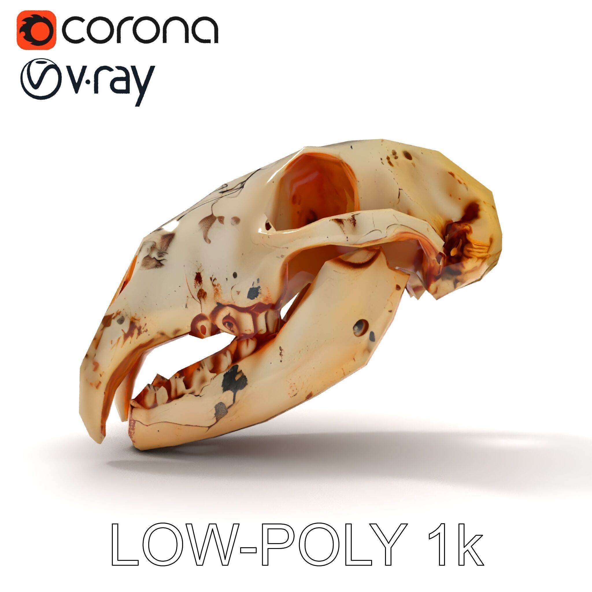 Animal Skull Model Pack with High Detail and PBR Textures Low-poly 3D model_21