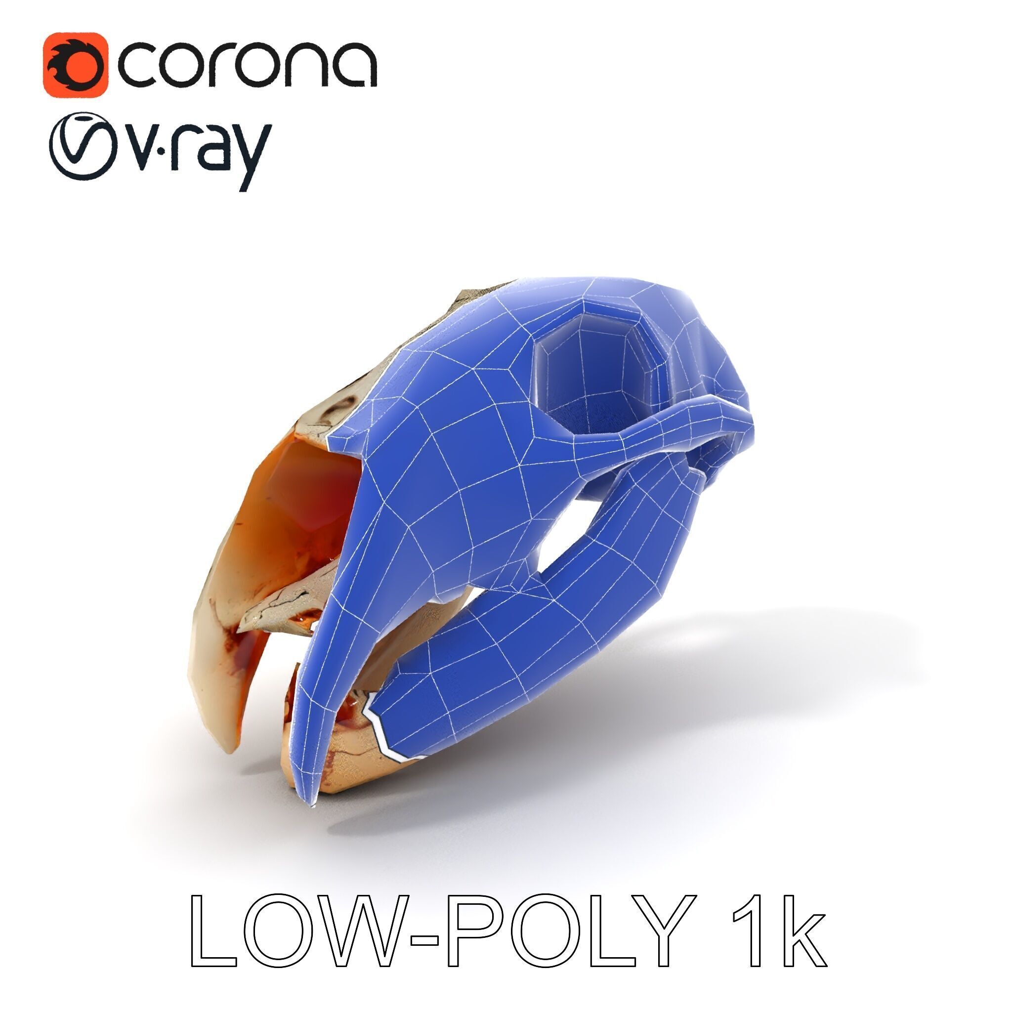 Animal Skull Model Pack with High Detail and PBR Textures Low-poly 3D model_7