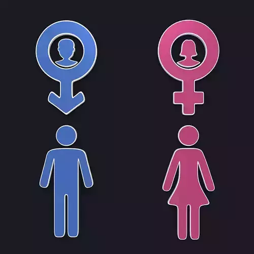 Man - Woman Male - Female Symbols - Icons Low-poly 3D model