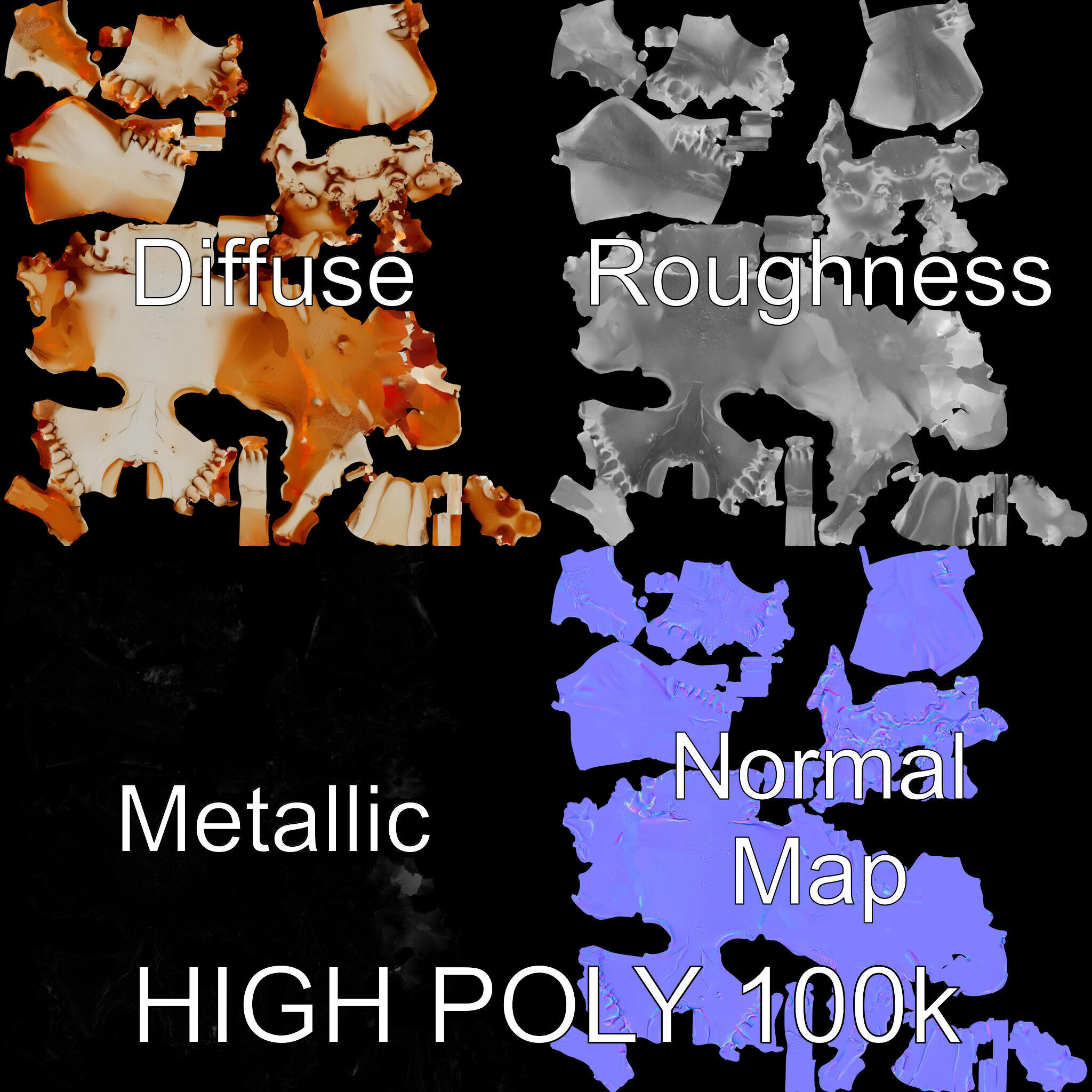 Animal Skull Model Pack  Detailed D Representation Low-poly 3D model_2