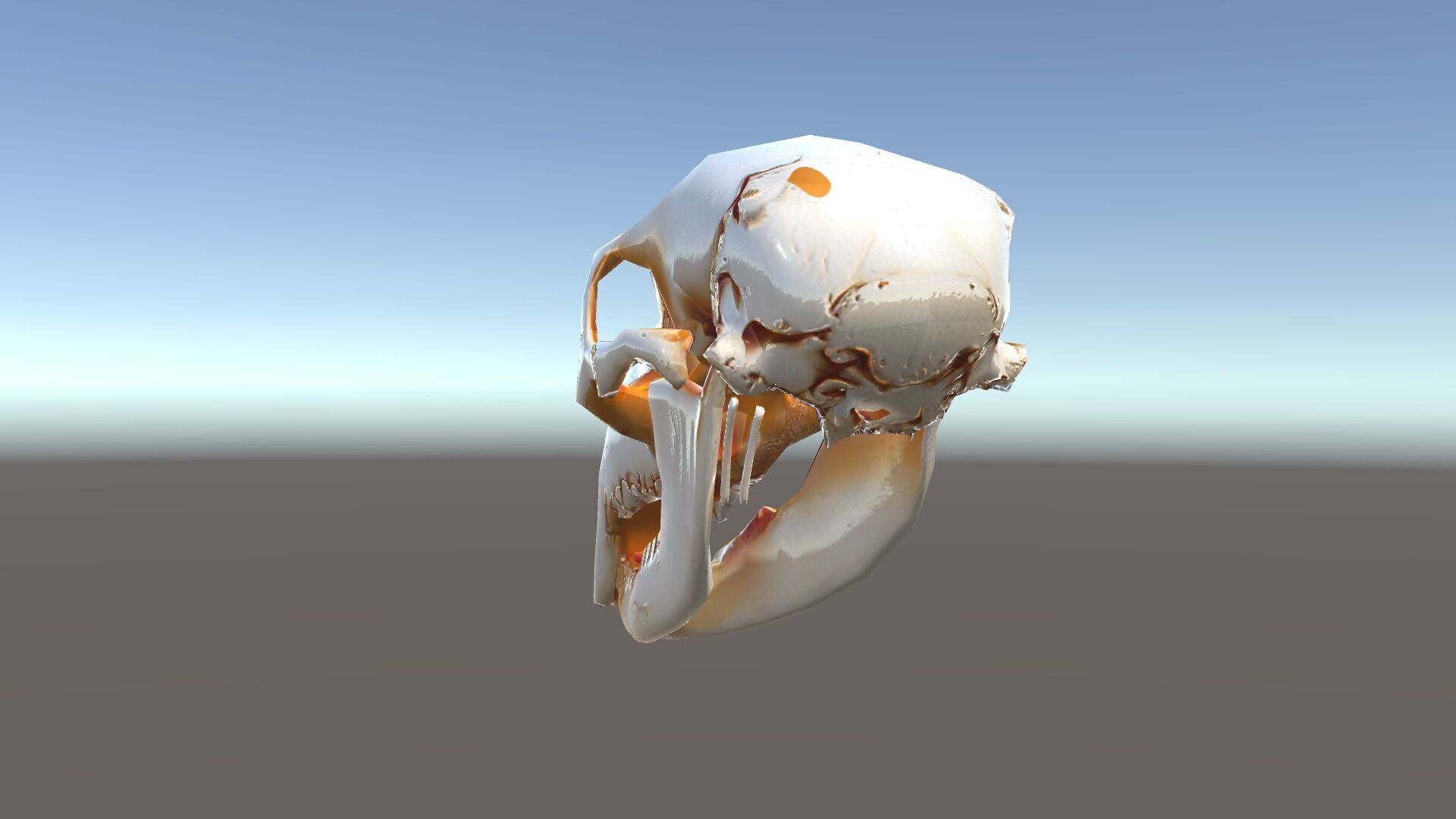 Animal Skull Model Pack  Detailed D Representation Low-poly 3D model_35