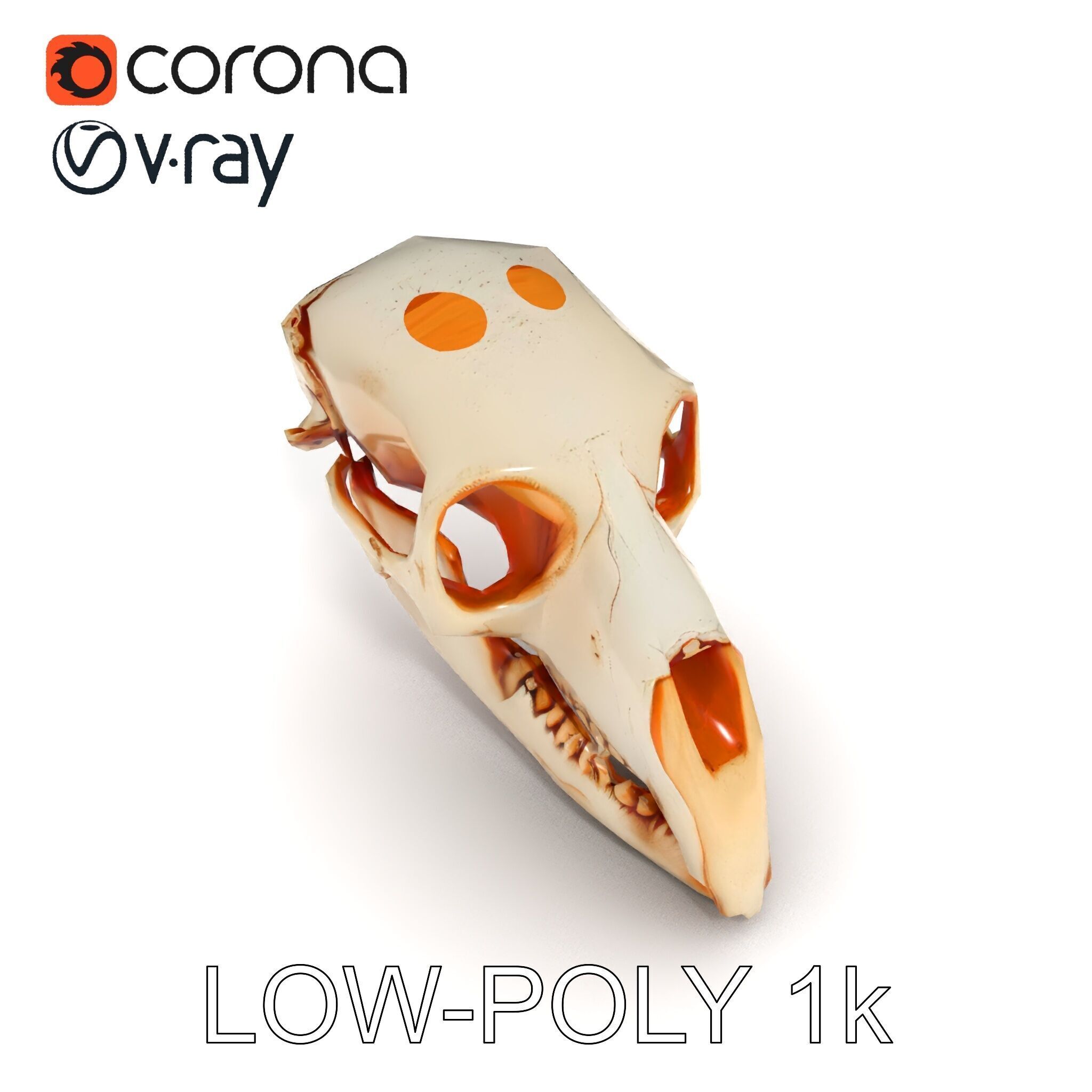 Animal Skull Model Pack  Detailed D Representation Low-poly 3D model_20