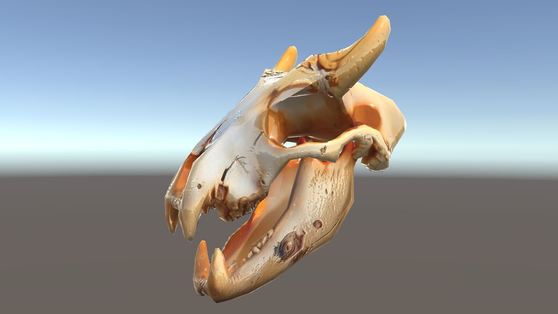 Realistic Animal Skull Model Pack for Rendering and Game Design Low-poly 3D model_7