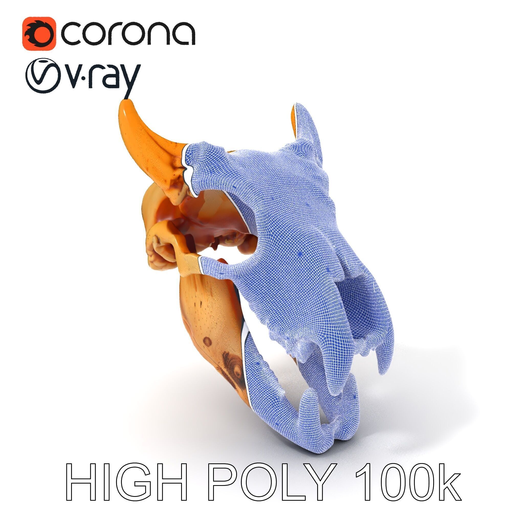 Realistic Animal Skull Model Pack for Rendering and Game Design Low-poly 3D model_4