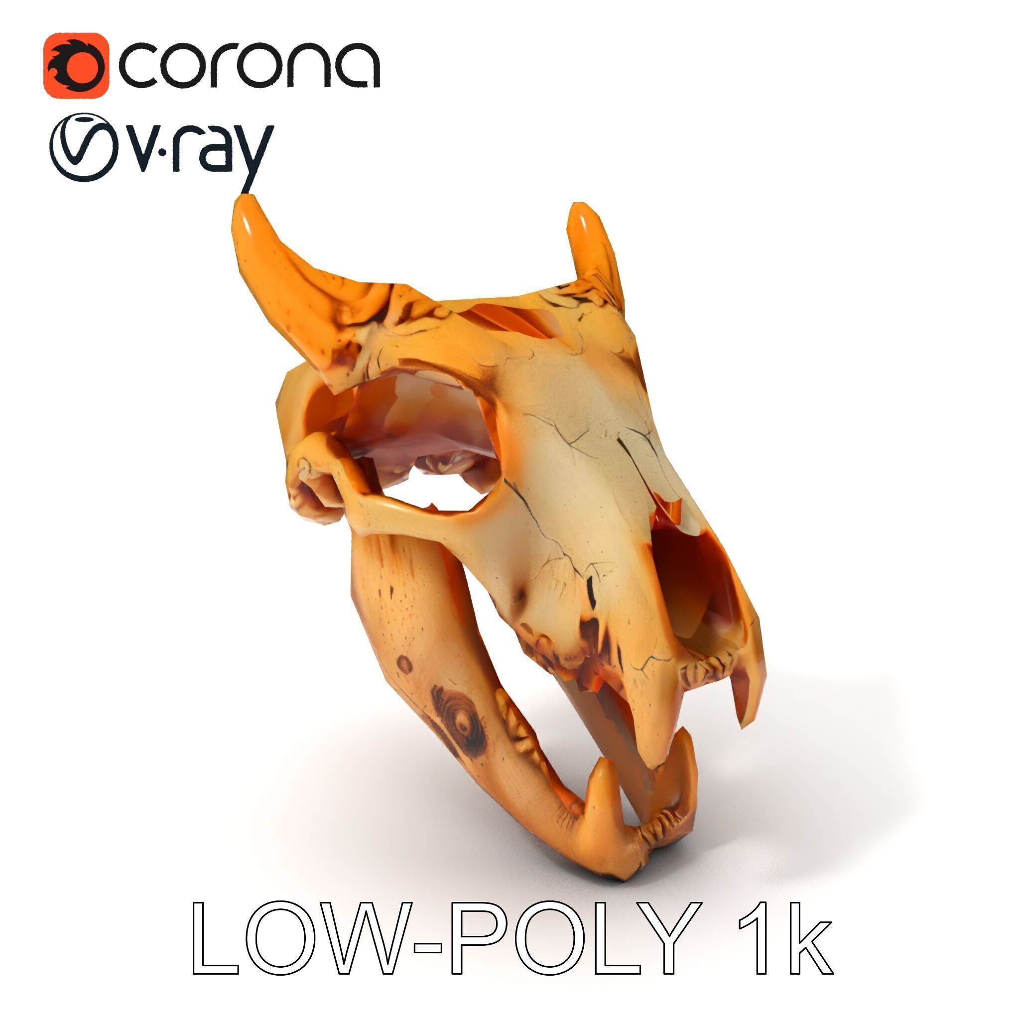 Realistic Animal Skull Model Pack for Rendering and Game Design Low-poly 3D model_23