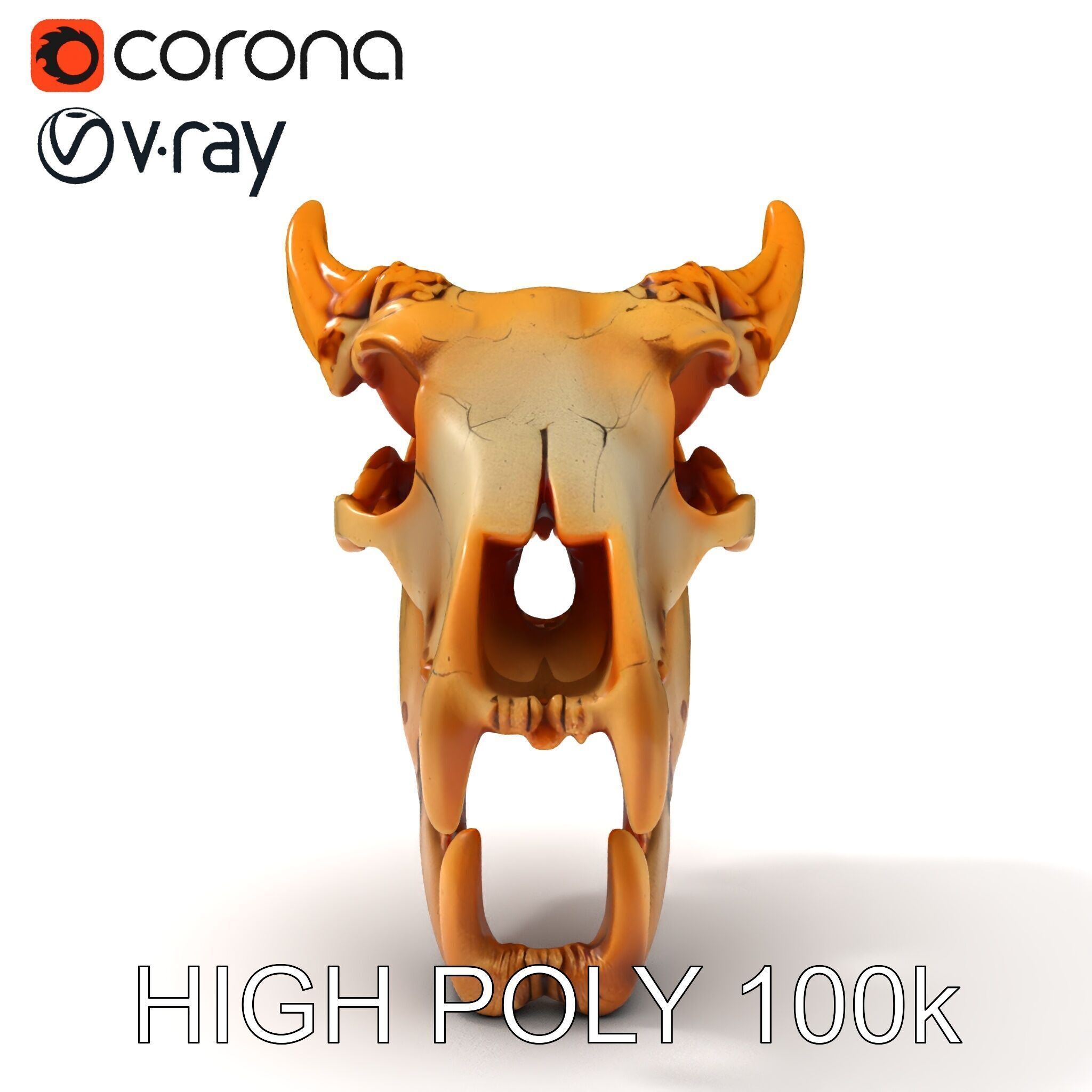 Realistic Animal Skull Model Pack for Rendering and Game Design Low-poly 3D model_21