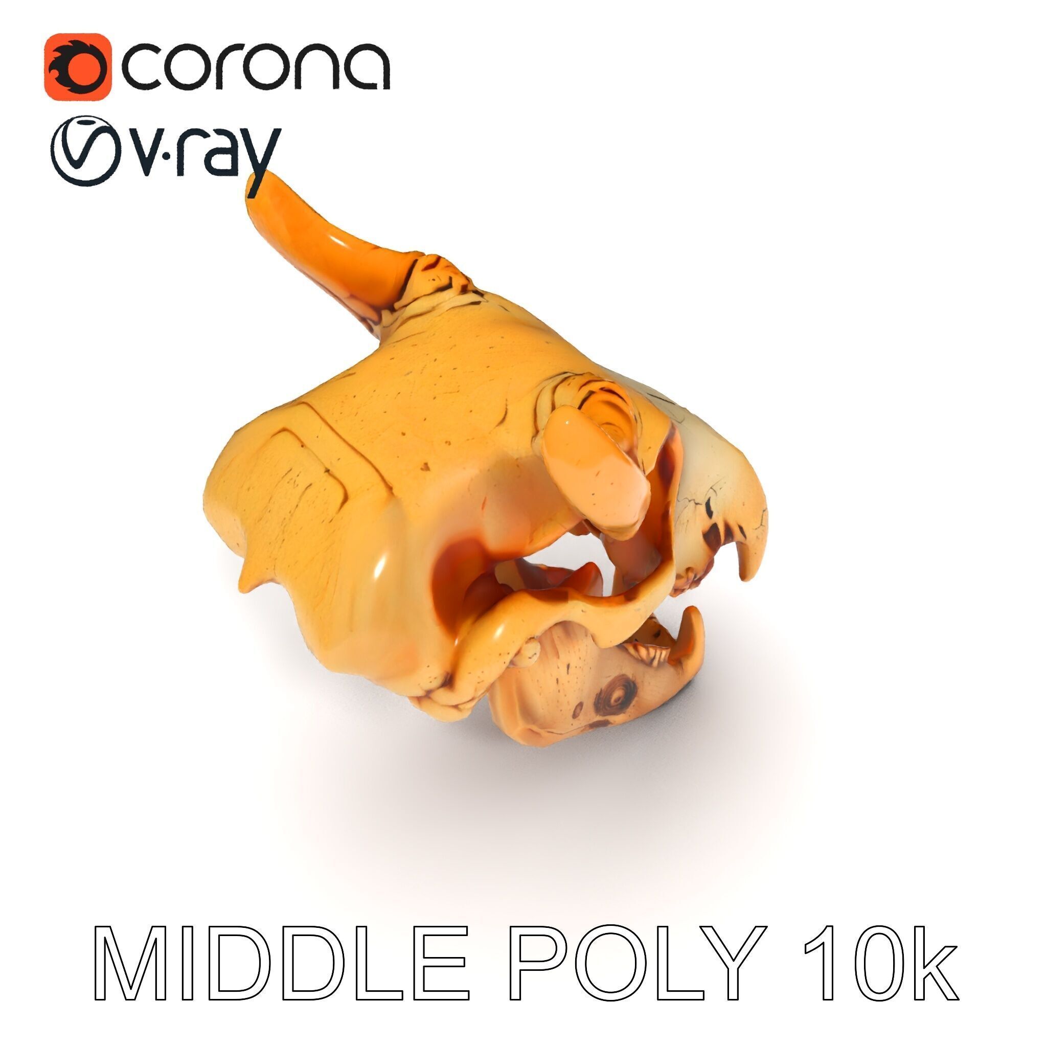 Realistic Animal Skull Model Pack for Rendering and Game Design Low-poly 3D model_27