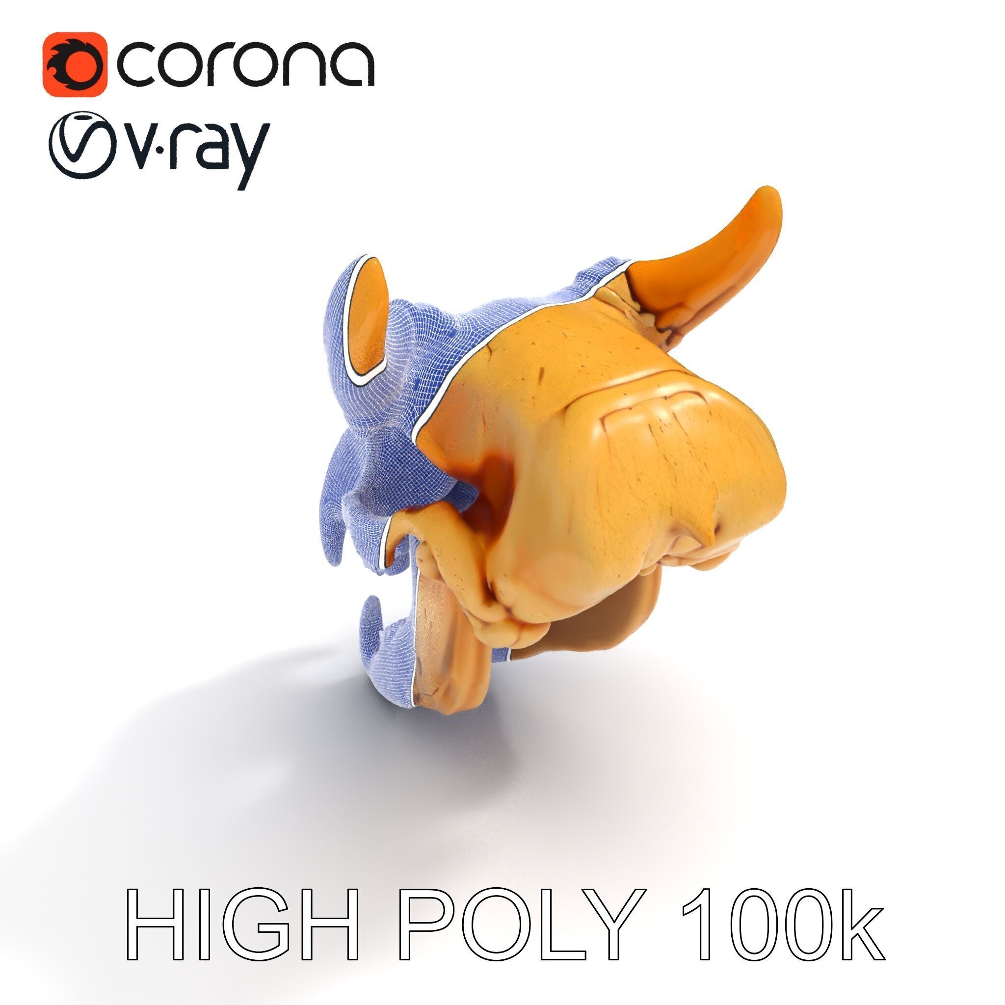 Realistic Animal Skull Model Pack for Rendering and Game Design Low-poly 3D model_35