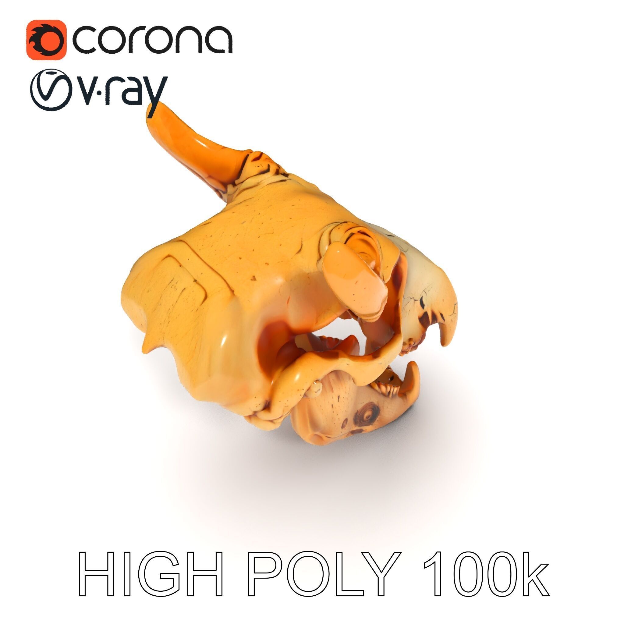 Realistic Animal Skull Model Pack for Rendering and Game Design Low-poly 3D model_10