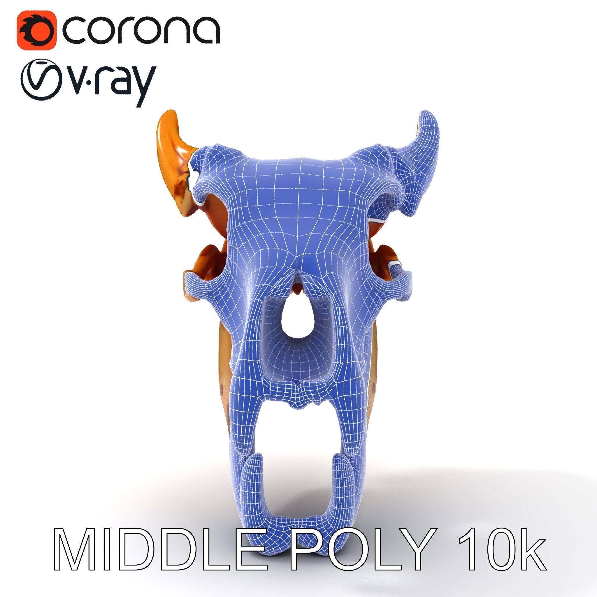 Realistic Animal Skull Model Pack for Rendering and Game Design Low-poly 3D model_17