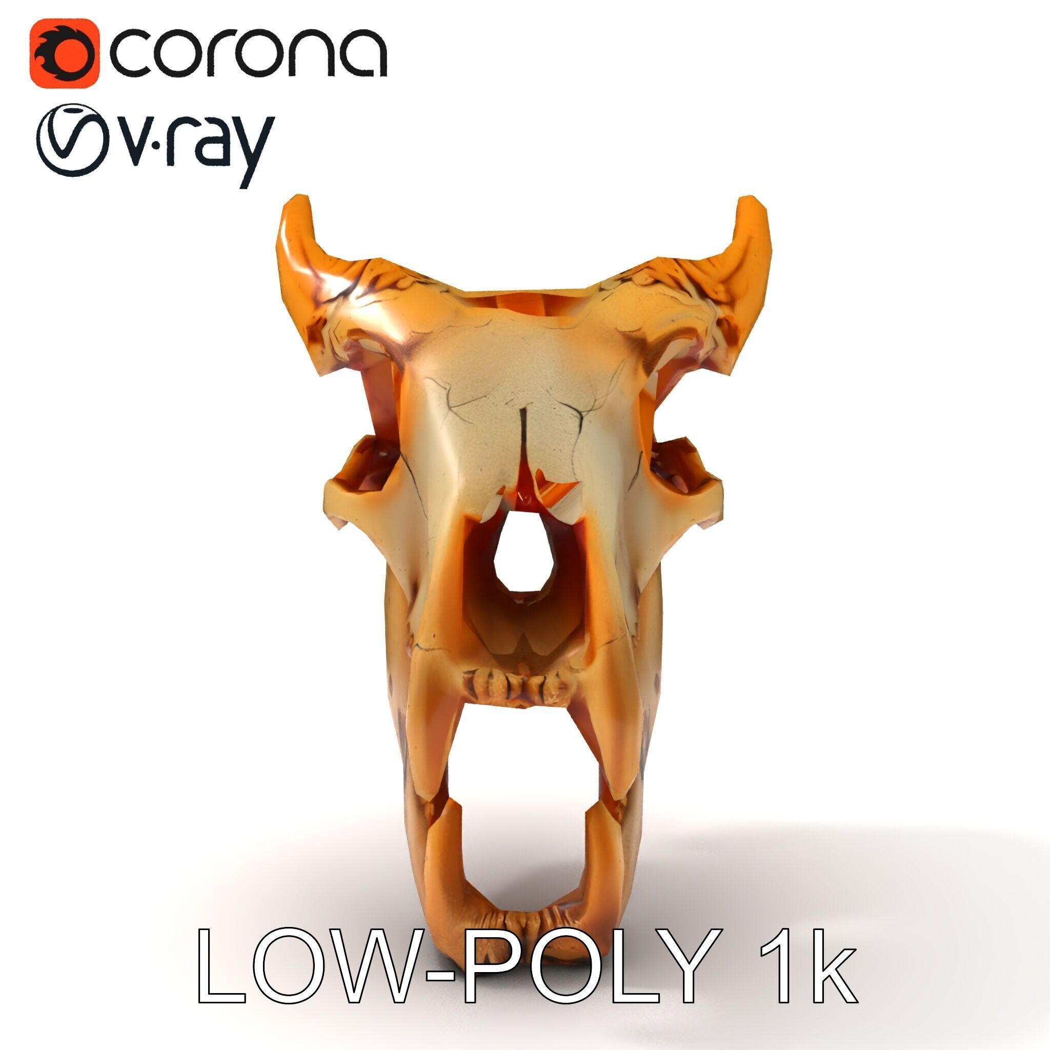 Realistic Animal Skull Model Pack for Rendering and Game Design Low-poly 3D model_31