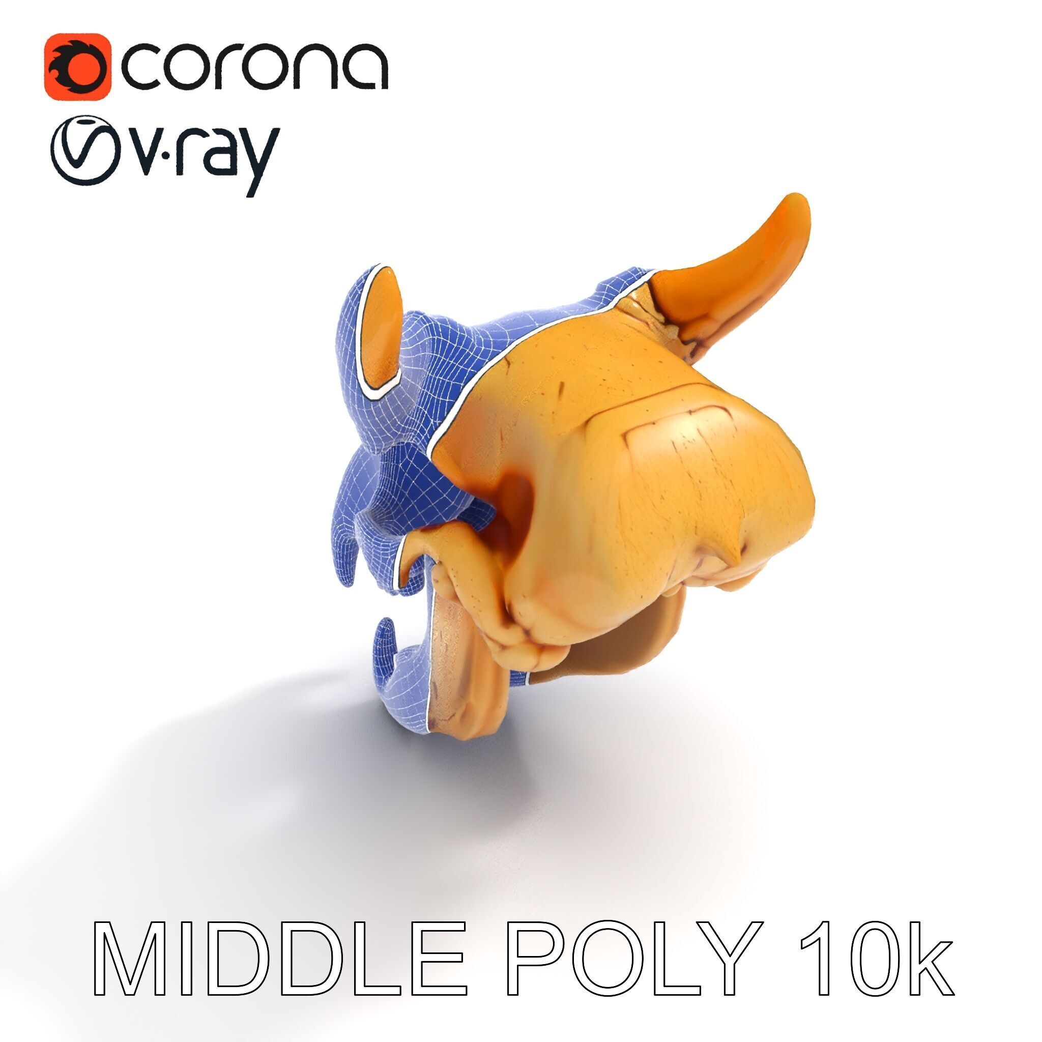 Realistic Animal Skull Model Pack for Rendering and Game Design Low-poly 3D model_24