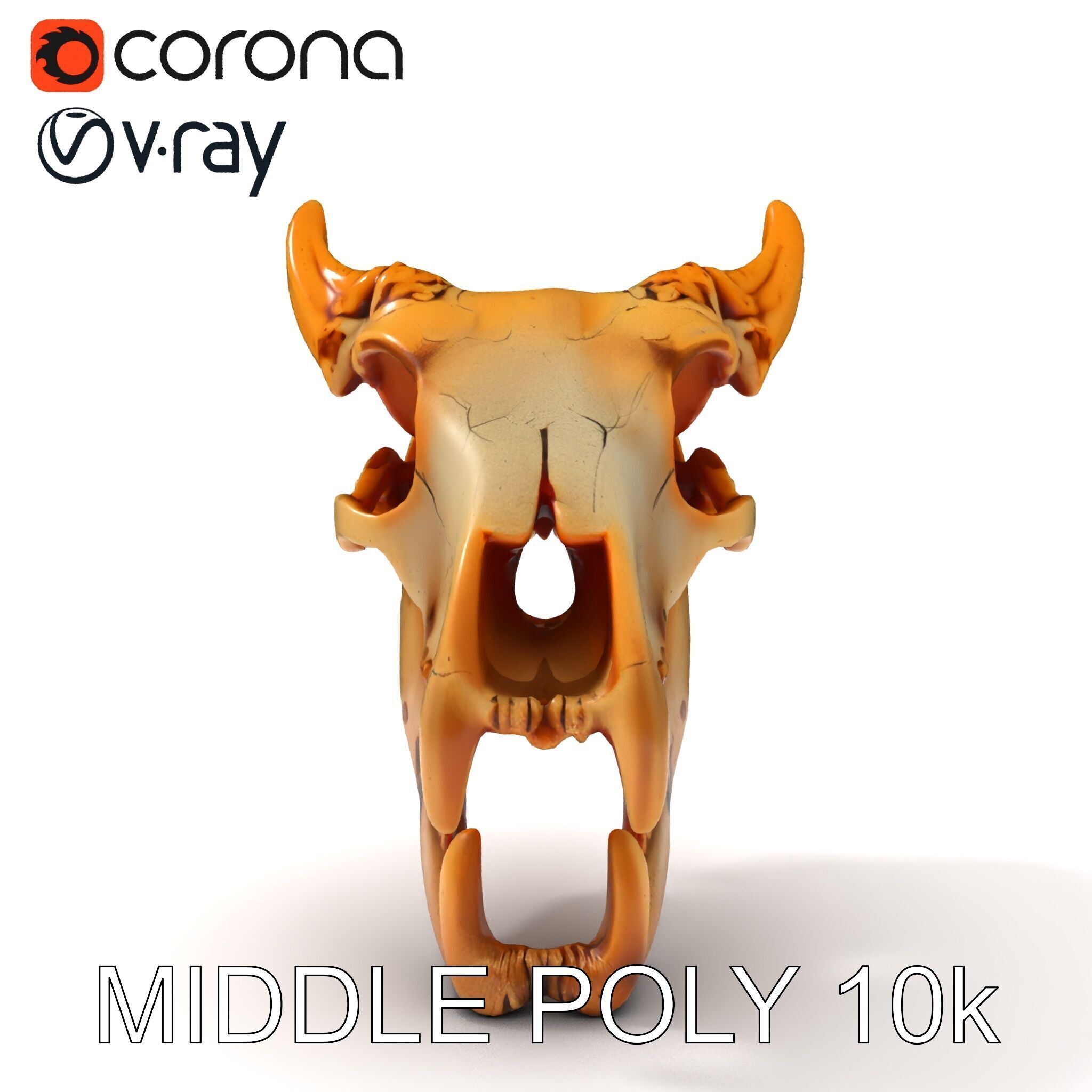 Realistic Animal Skull Model Pack for Rendering and Game Design Low-poly 3D model_19