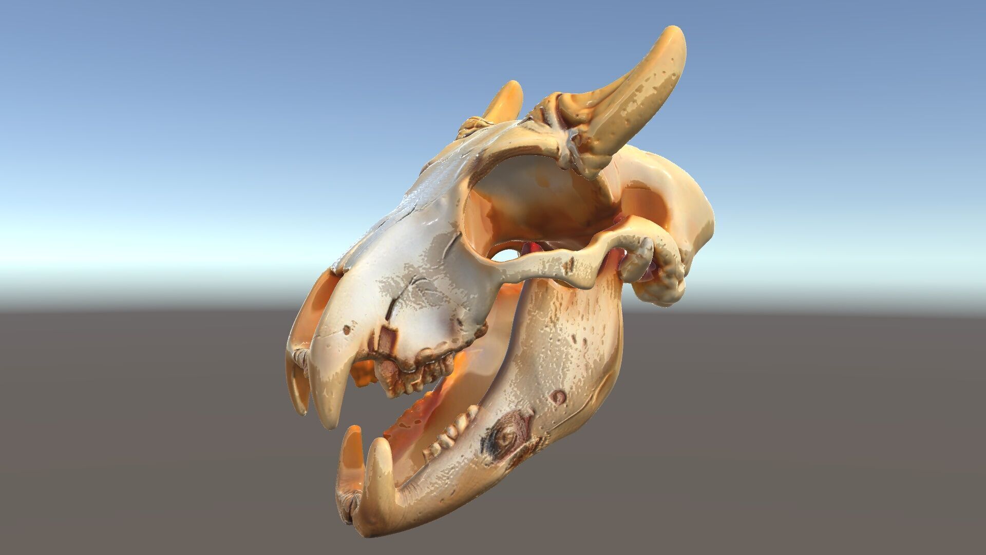 Realistic Animal Skull Model Pack for Rendering and Game Design Low-poly 3D model_5