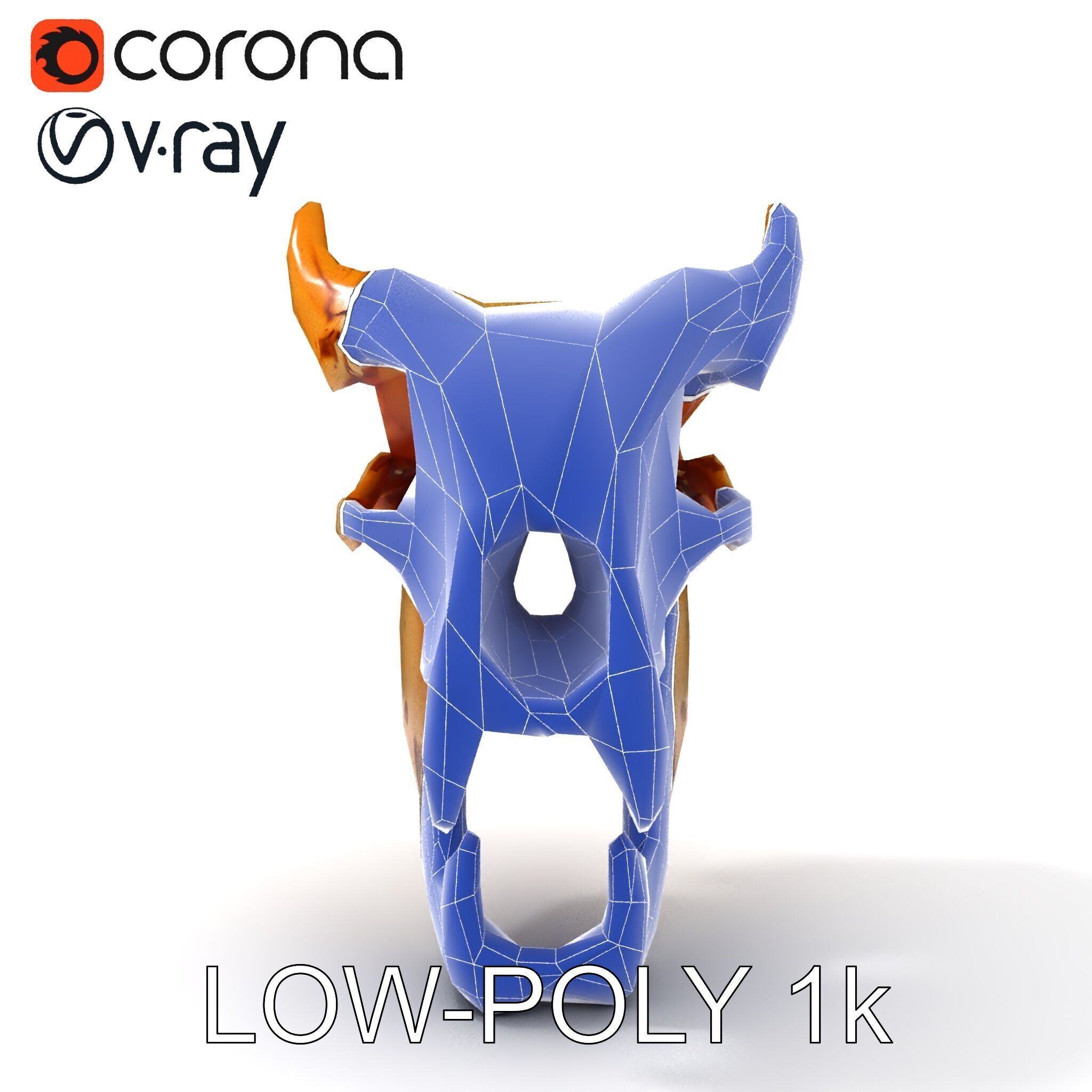 Realistic Animal Skull Model Pack for Rendering and Game Design Low-poly 3D model_28