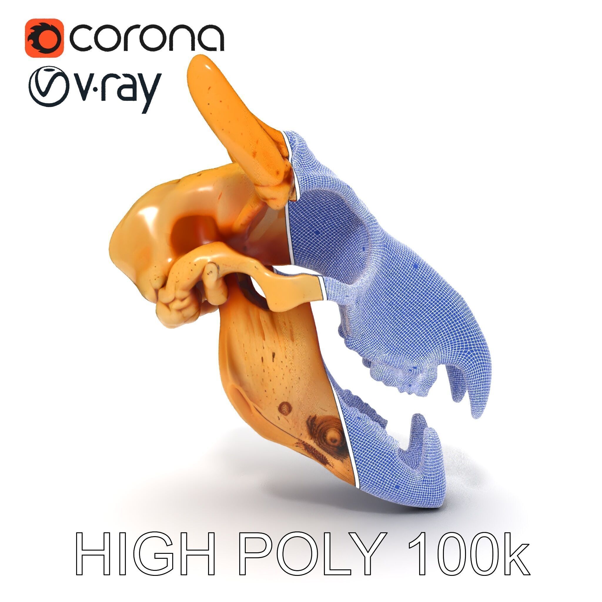 Realistic Animal Skull Model Pack for Rendering and Game Design Low-poly 3D model_34