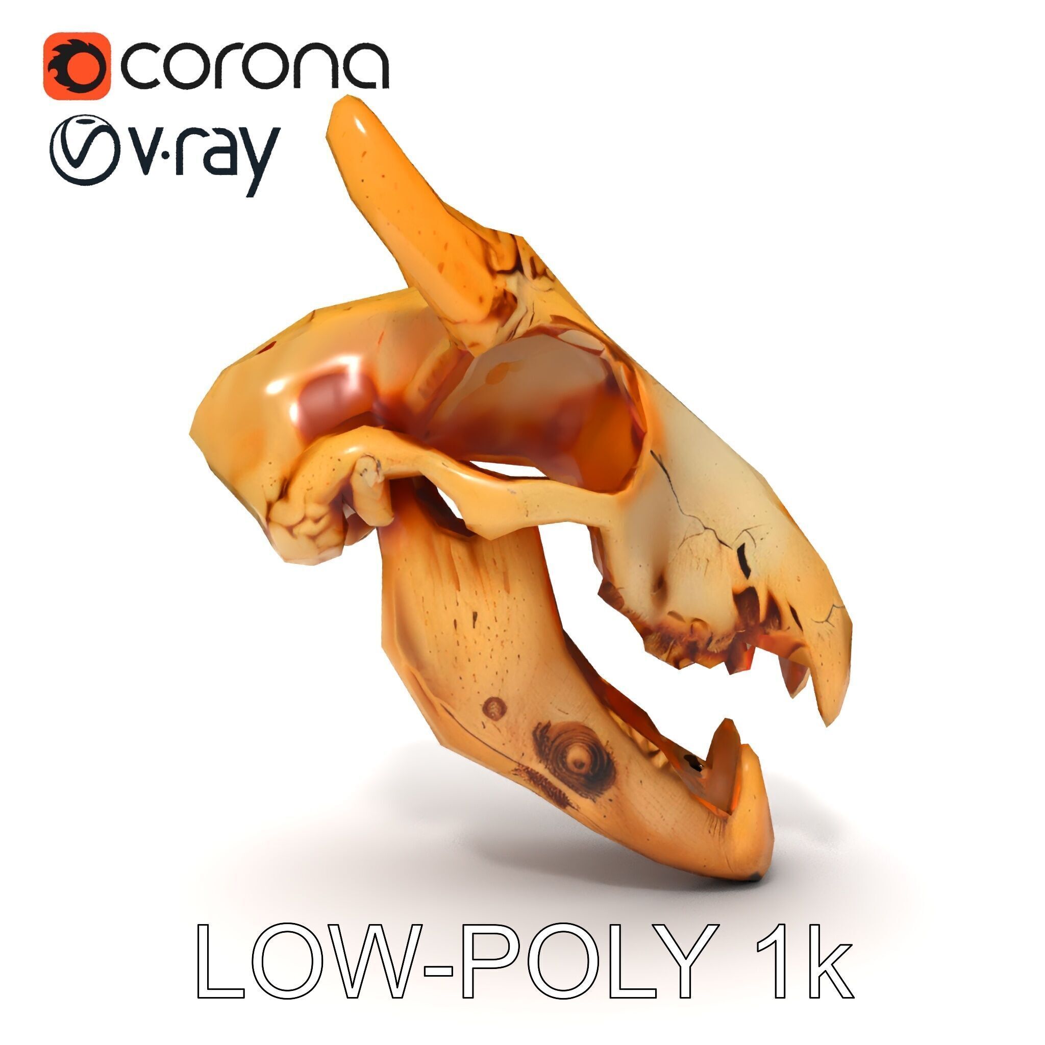 Realistic Animal Skull Model Pack for Rendering and Game Design Low-poly 3D model_15
