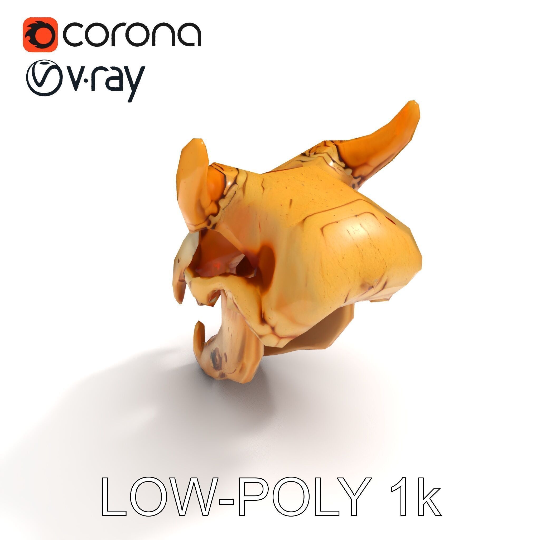 Realistic Animal Skull Model Pack for Rendering and Game Design Low-poly 3D model_18