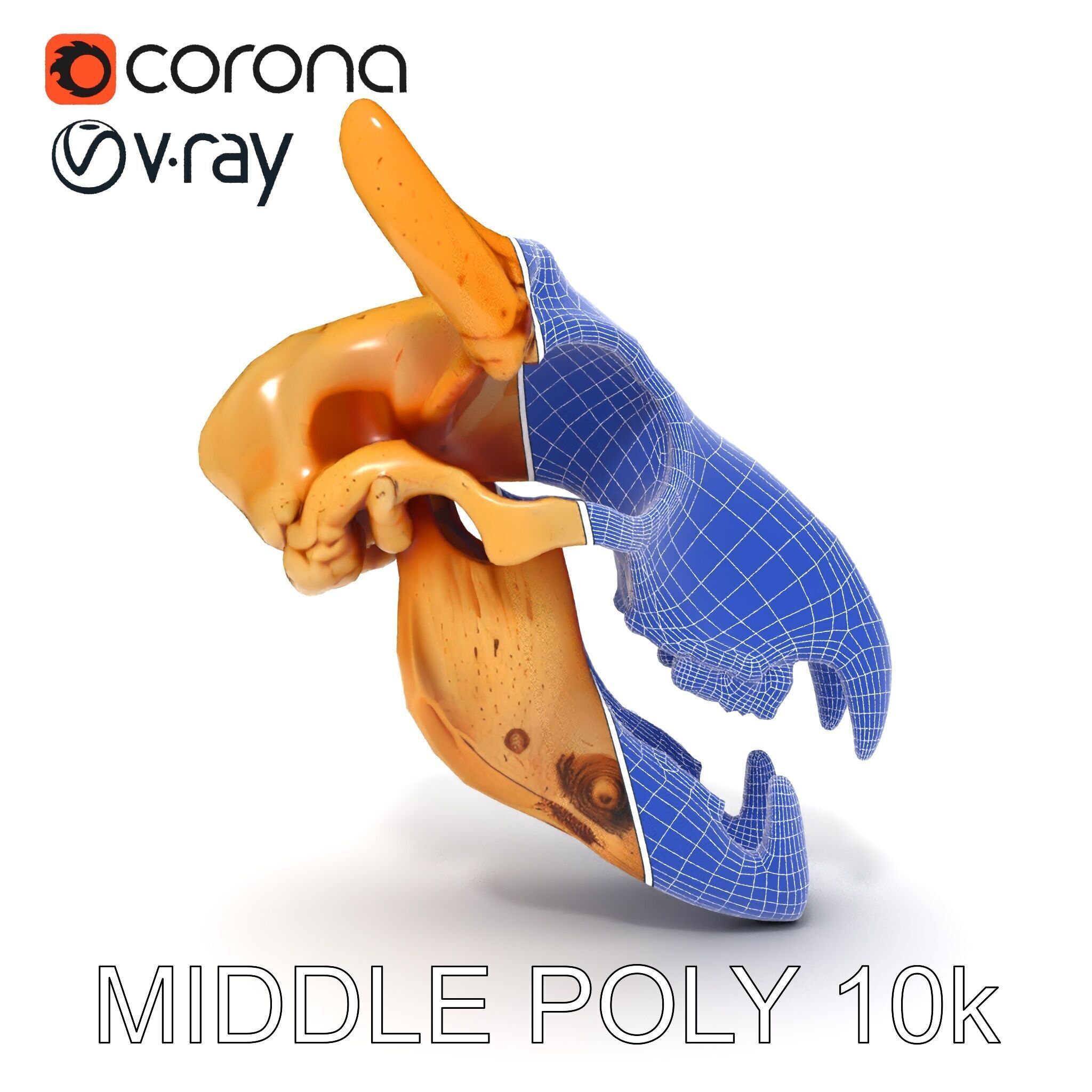 Realistic Animal Skull Model Pack for Rendering and Game Design Low-poly 3D model_30