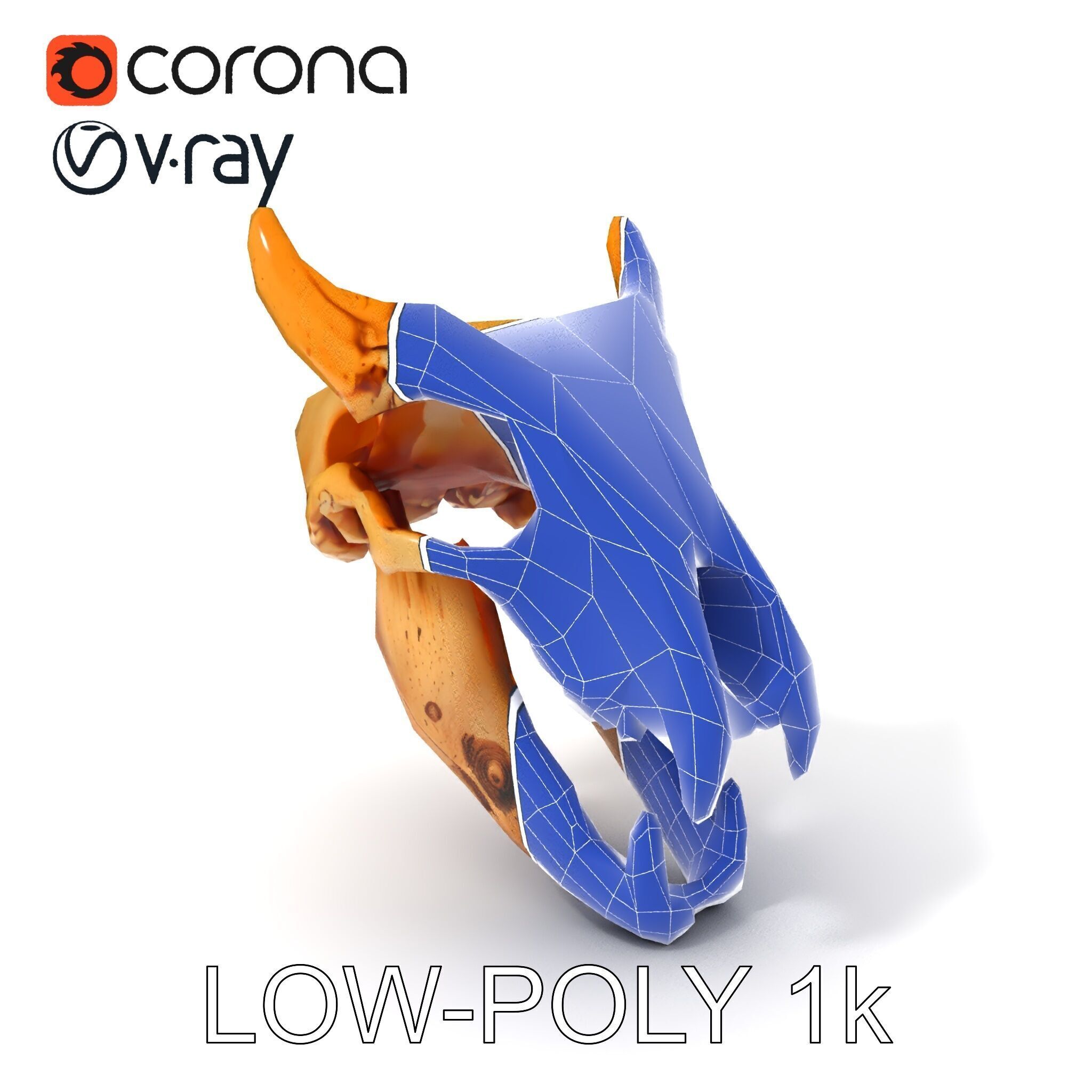 Realistic Animal Skull Model Pack for Rendering and Game Design Low-poly 3D model_12