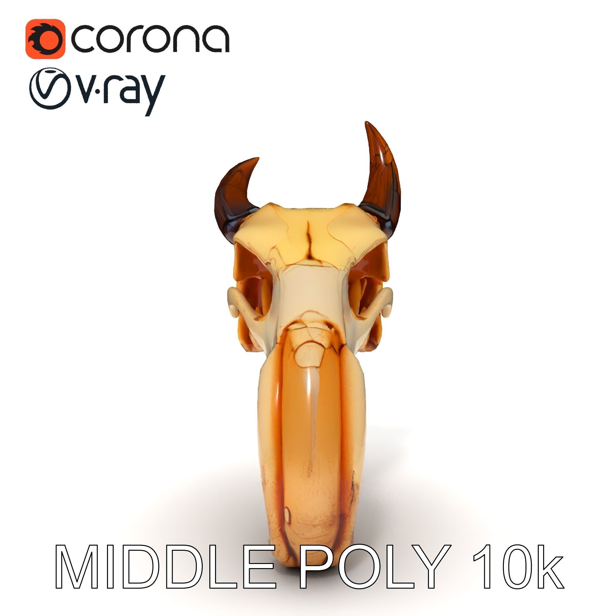 Animal Skull Model Pack Low-poly 3D model_25