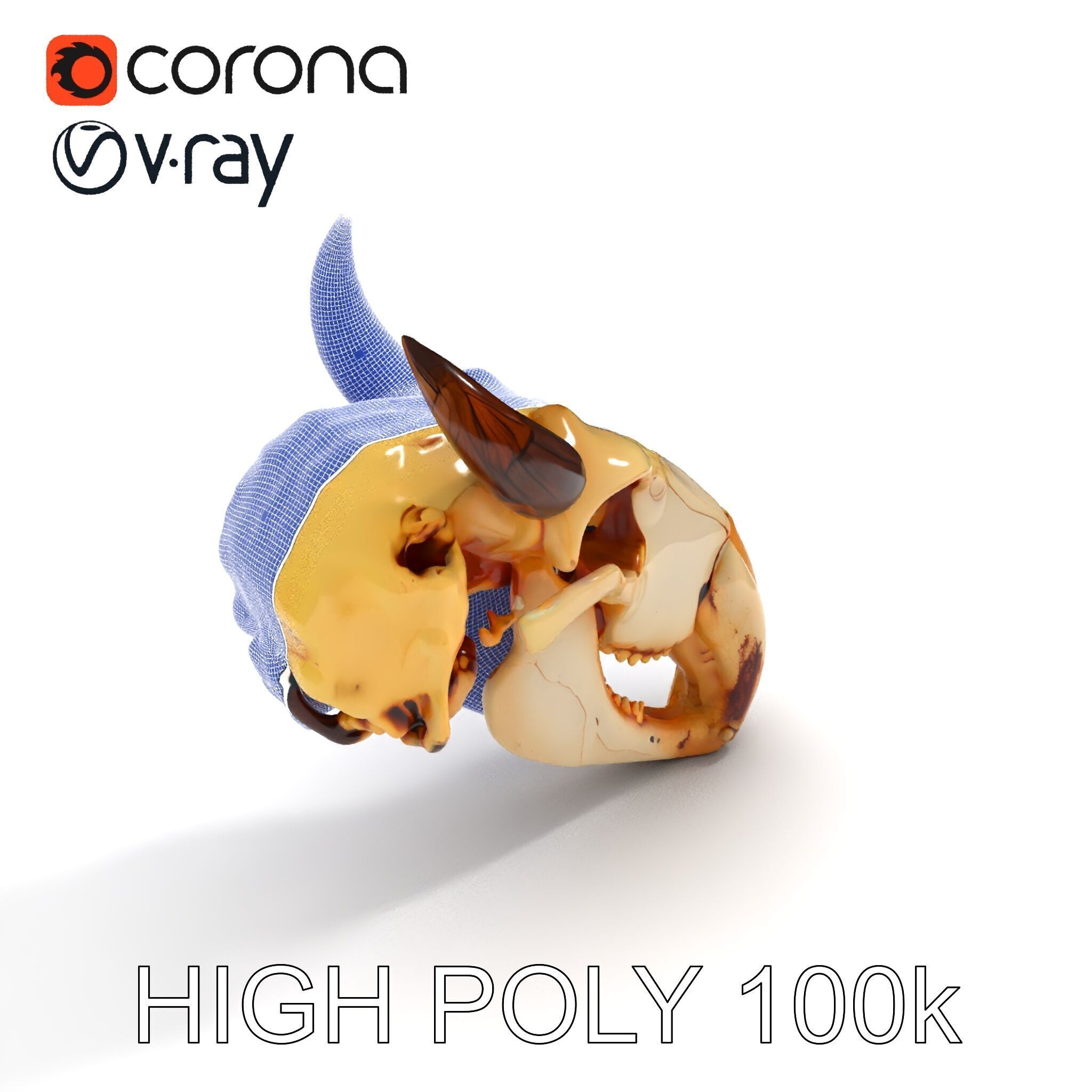 Animal Skull Model Pack Low-poly 3D model_10