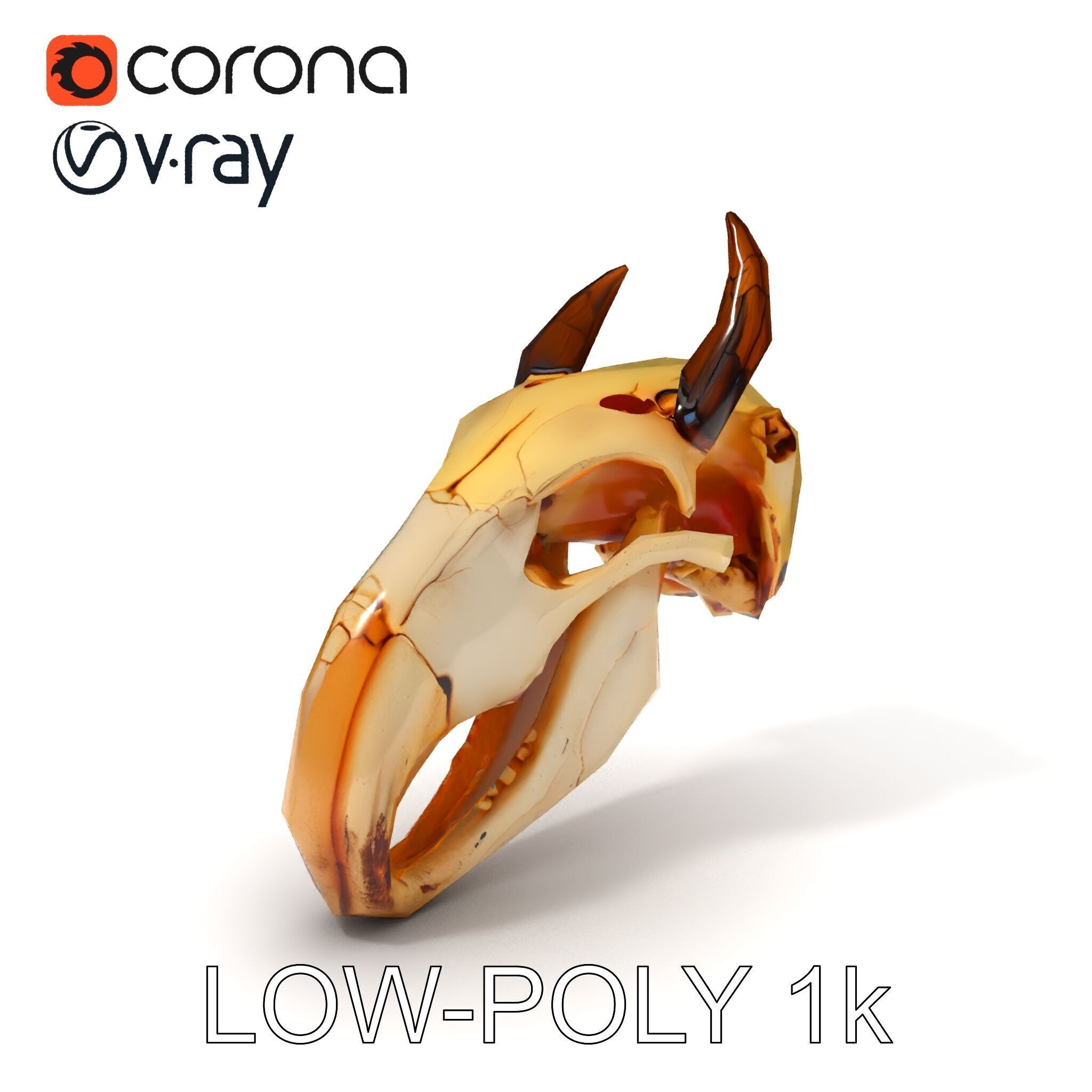 Animal Skull Model Pack Low-poly 3D model_23
