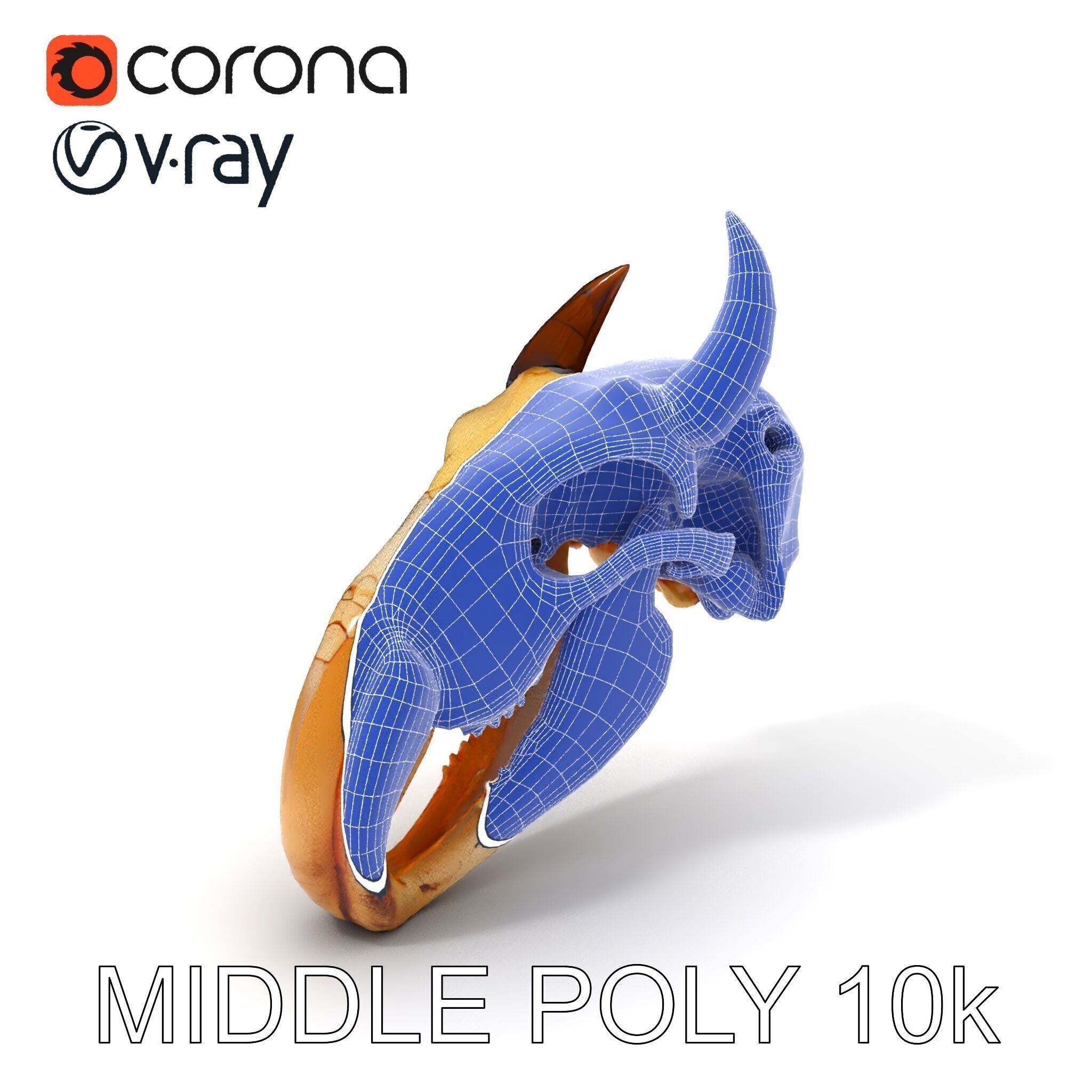 Animal Skull Model Pack Low-poly 3D model_16