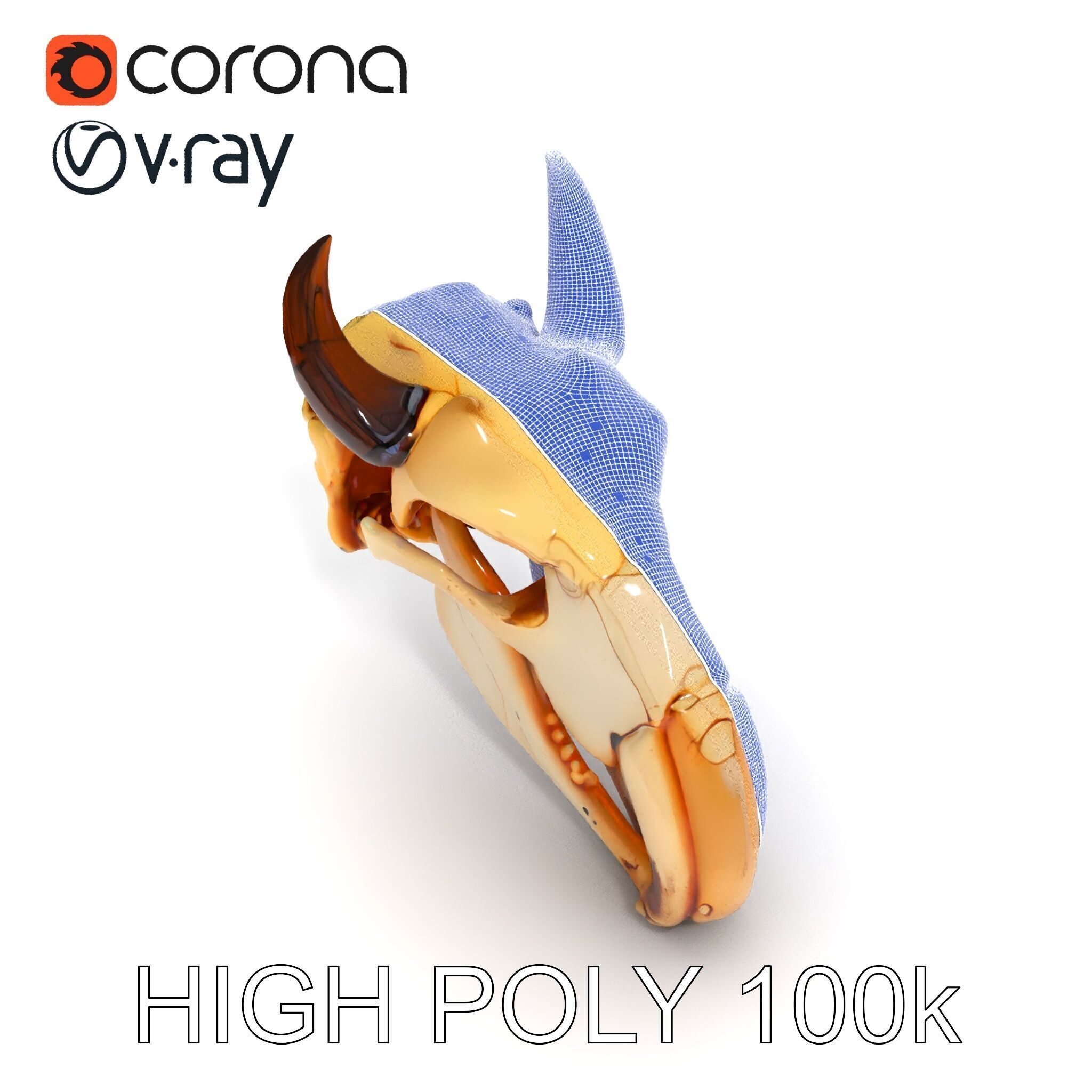 Animal Skull Model Pack Low-poly 3D model_35