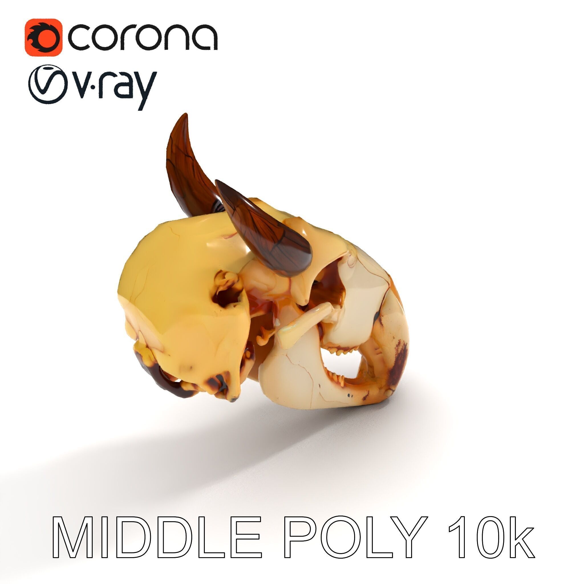 Animal Skull Model Pack Low-poly 3D model_11