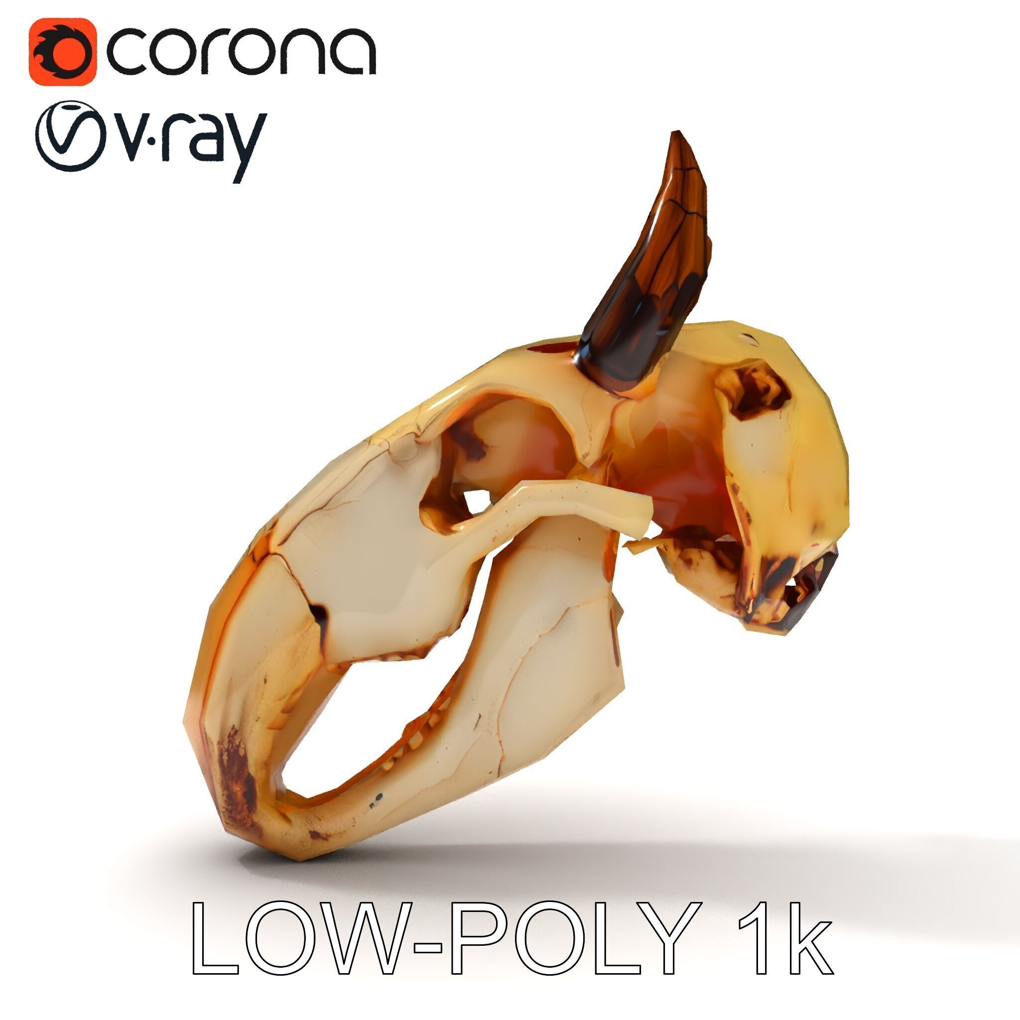 Animal Skull Model Pack Low-poly 3D model_26