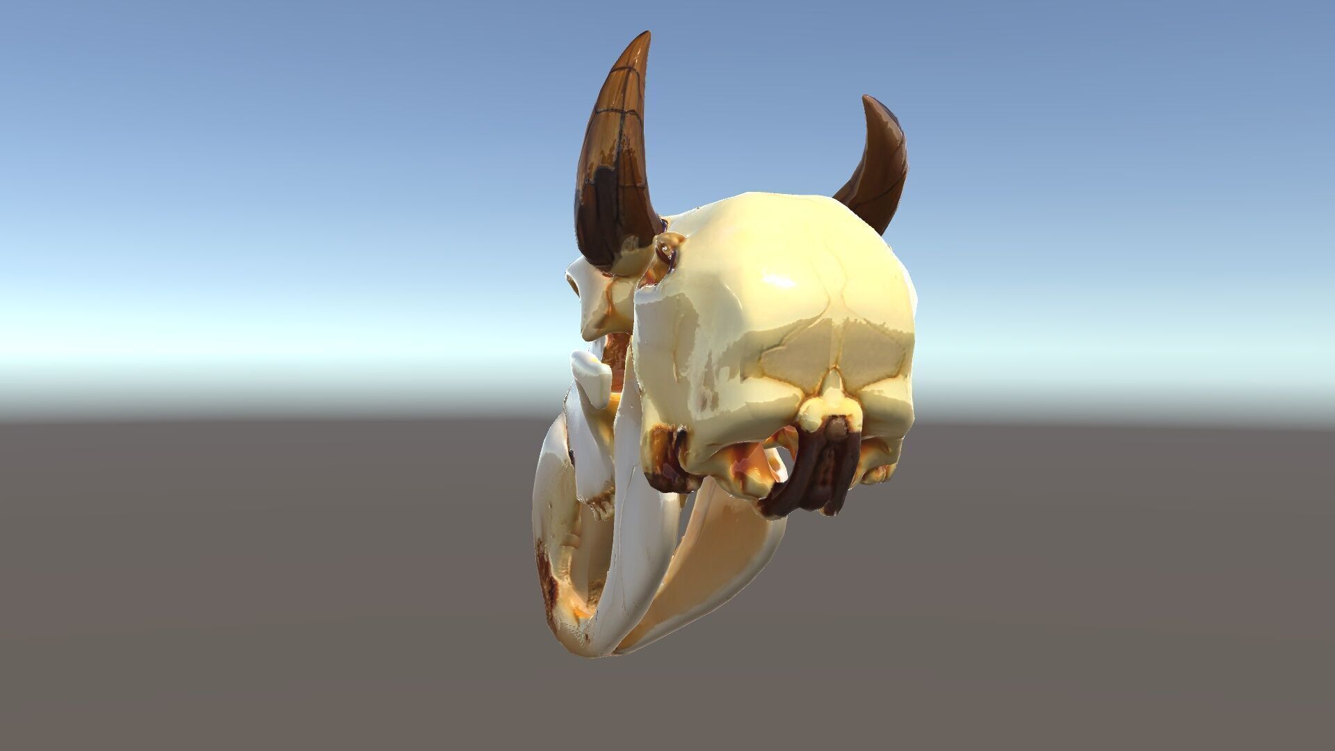 Animal Skull Model Pack Low-poly 3D model_13
